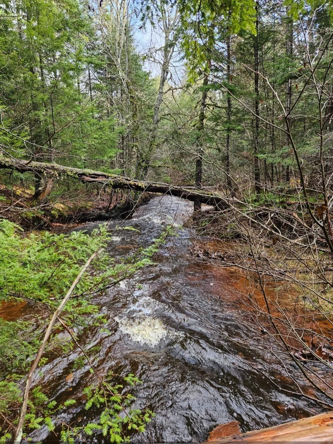 25-1 #368 Highway, Wentworth, NS B0M 1Z0, ,Land,For Sale,Highway #368,202521733