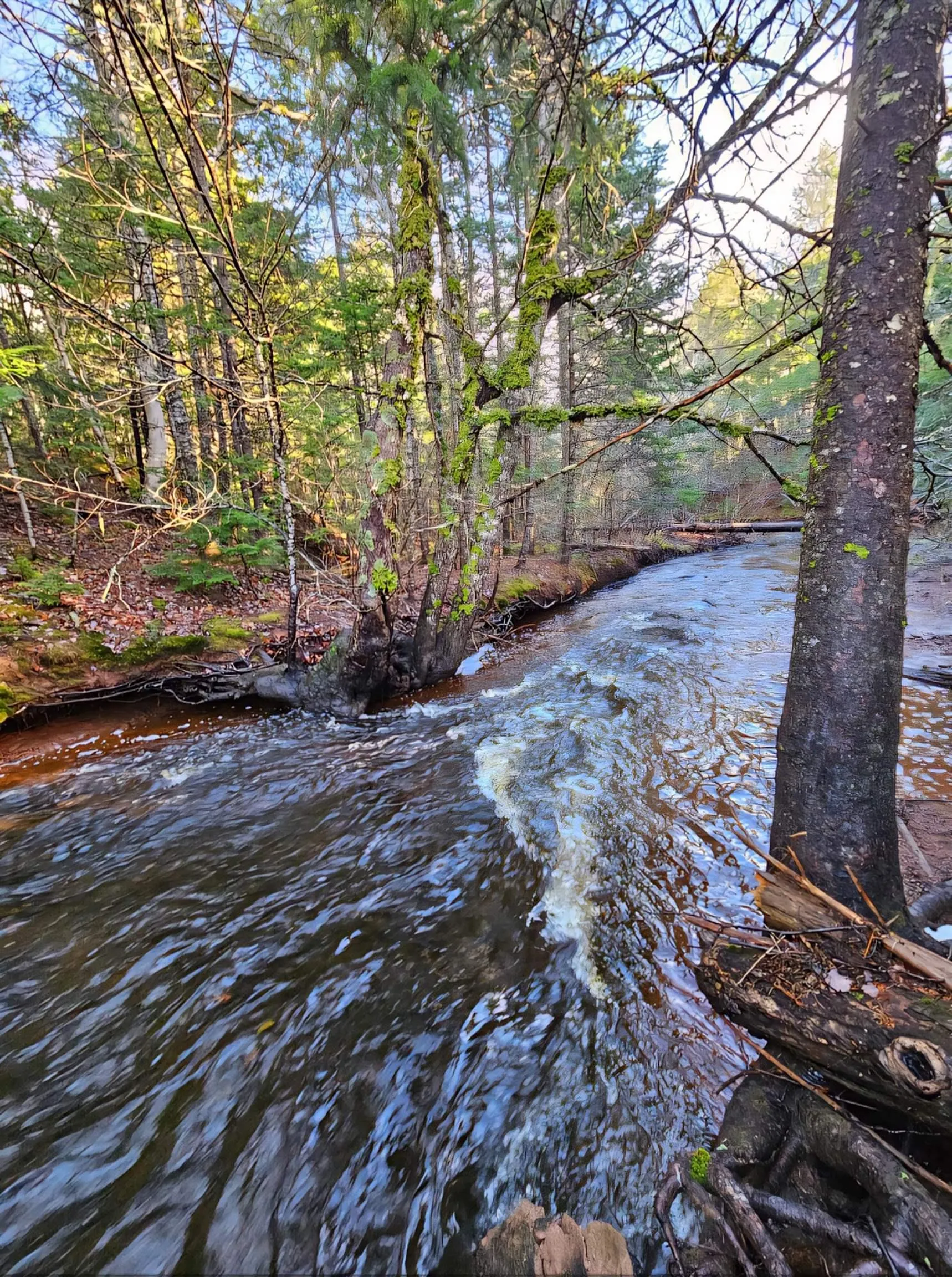 25-1 #368 Highway, Wentworth, NS B0M 1Z0, ,Land,For Sale,Highway #368,202521733
