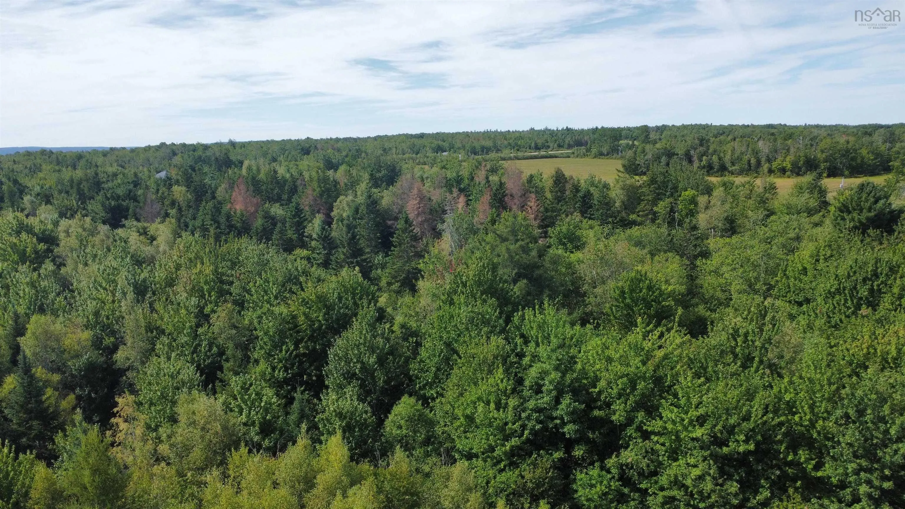 25-1 #368 Highway, Wentworth, NS B0M 1Z0, ,Land,For Sale,Highway #368,202521733