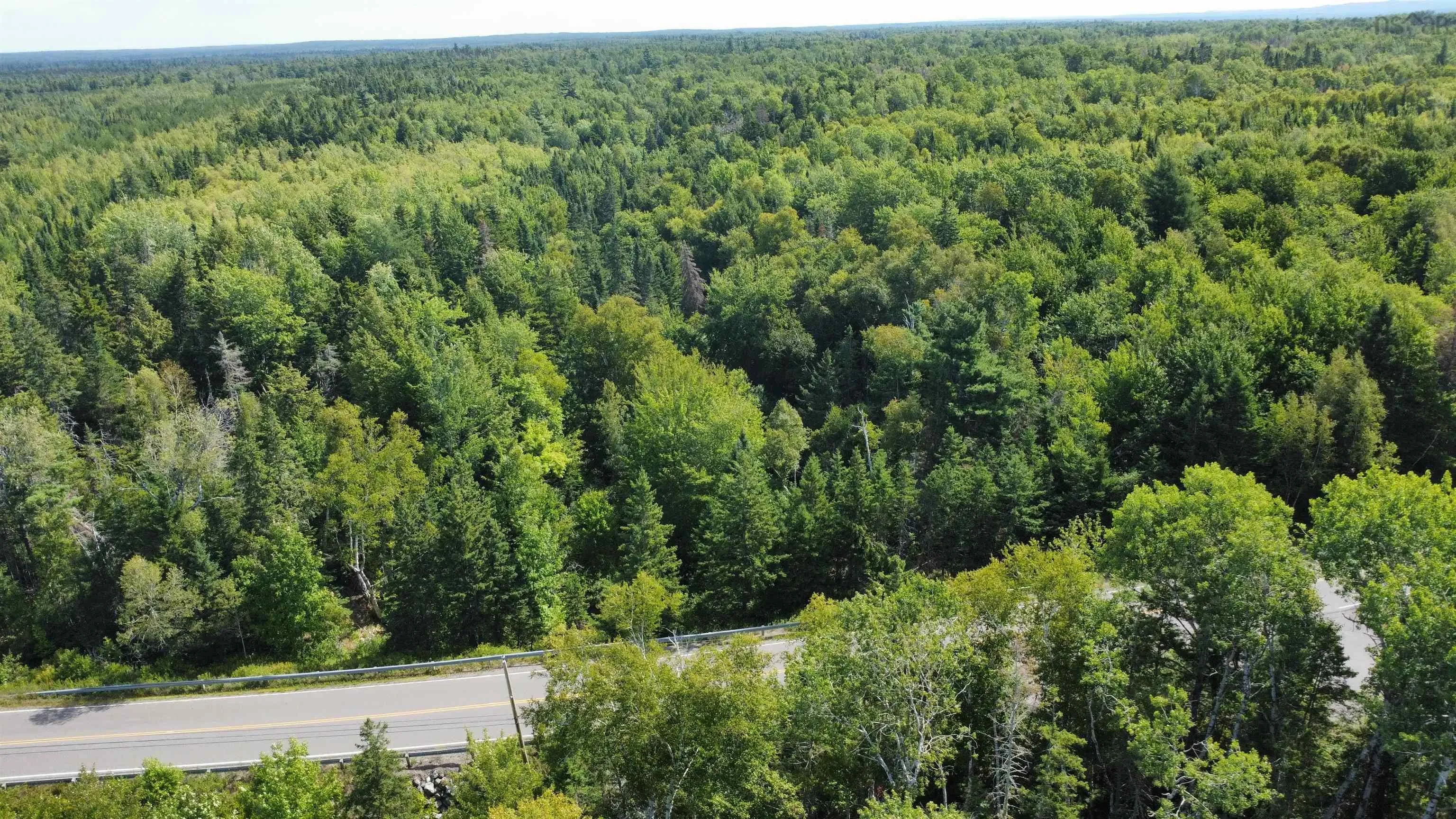 25-1 #368 Highway, Wentworth, NS B0M 1Z0, ,Land,For Sale,Highway #368,202521733