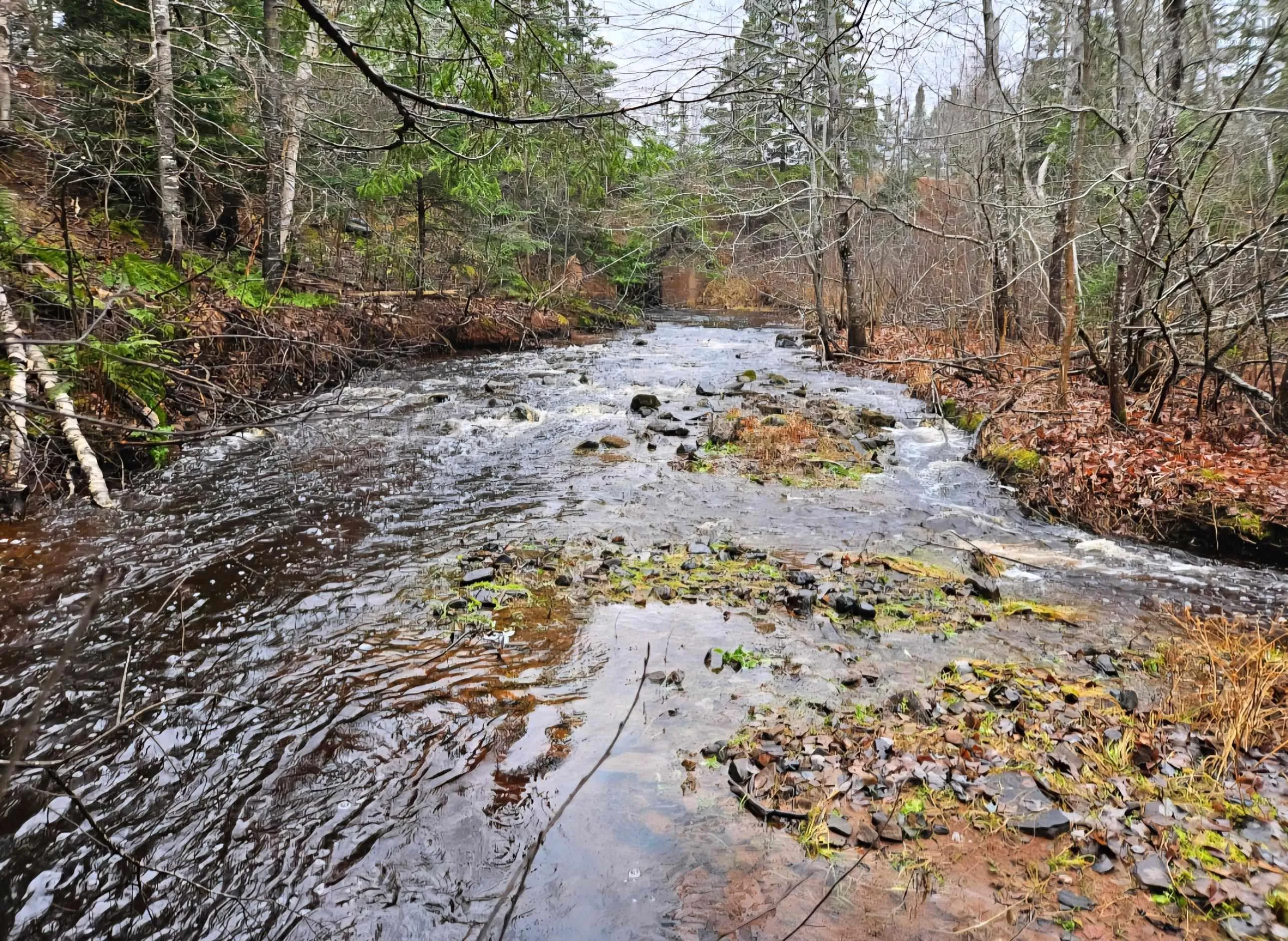 25-1 #368 Highway, Wentworth, NS B0M 1Z0, ,Land,For Sale,Highway #368,202521733