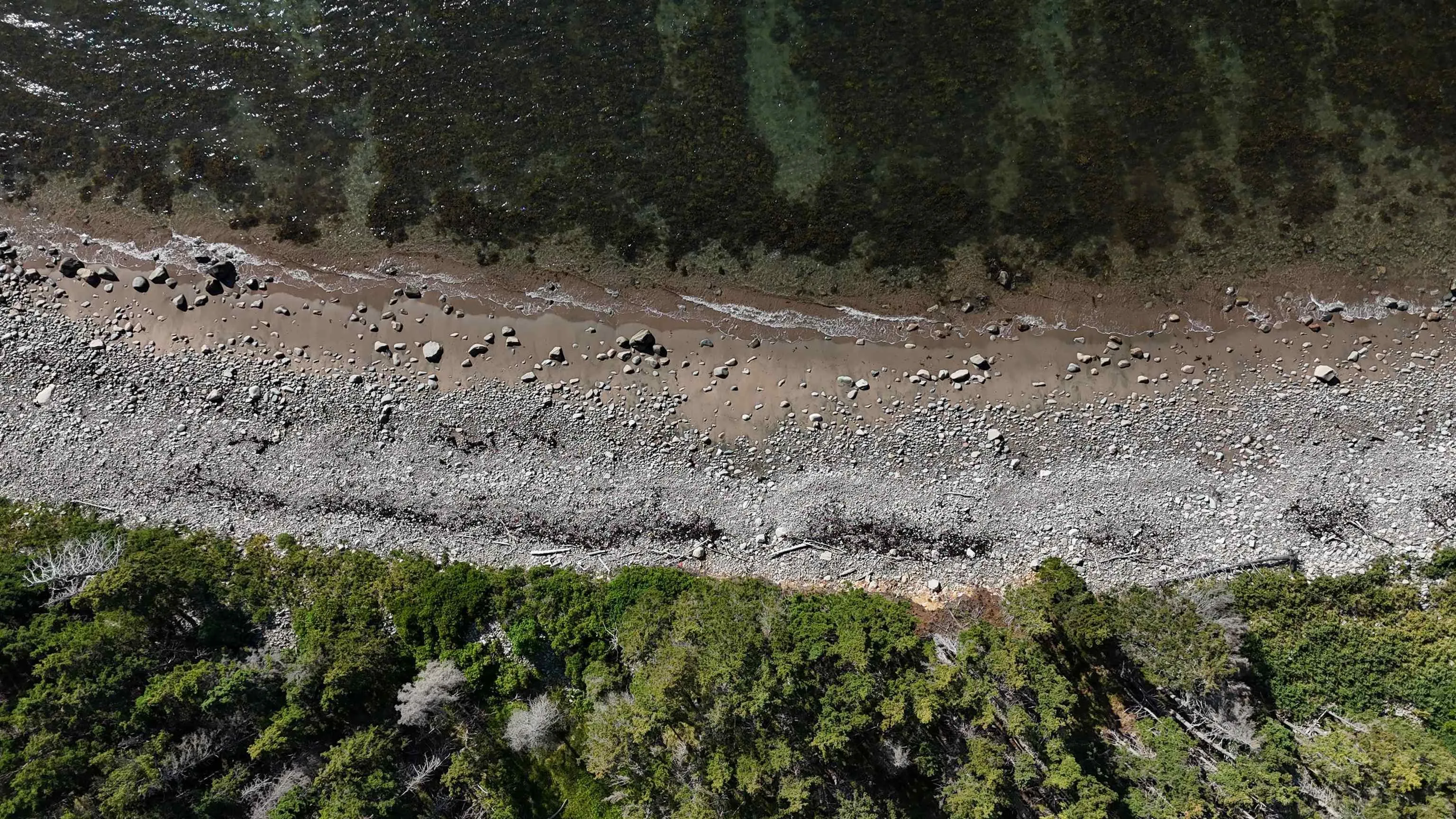 Cabot Trail, Indian Brook, NS B0C 1H0, ,Land,For Sale,Cabot,202518158