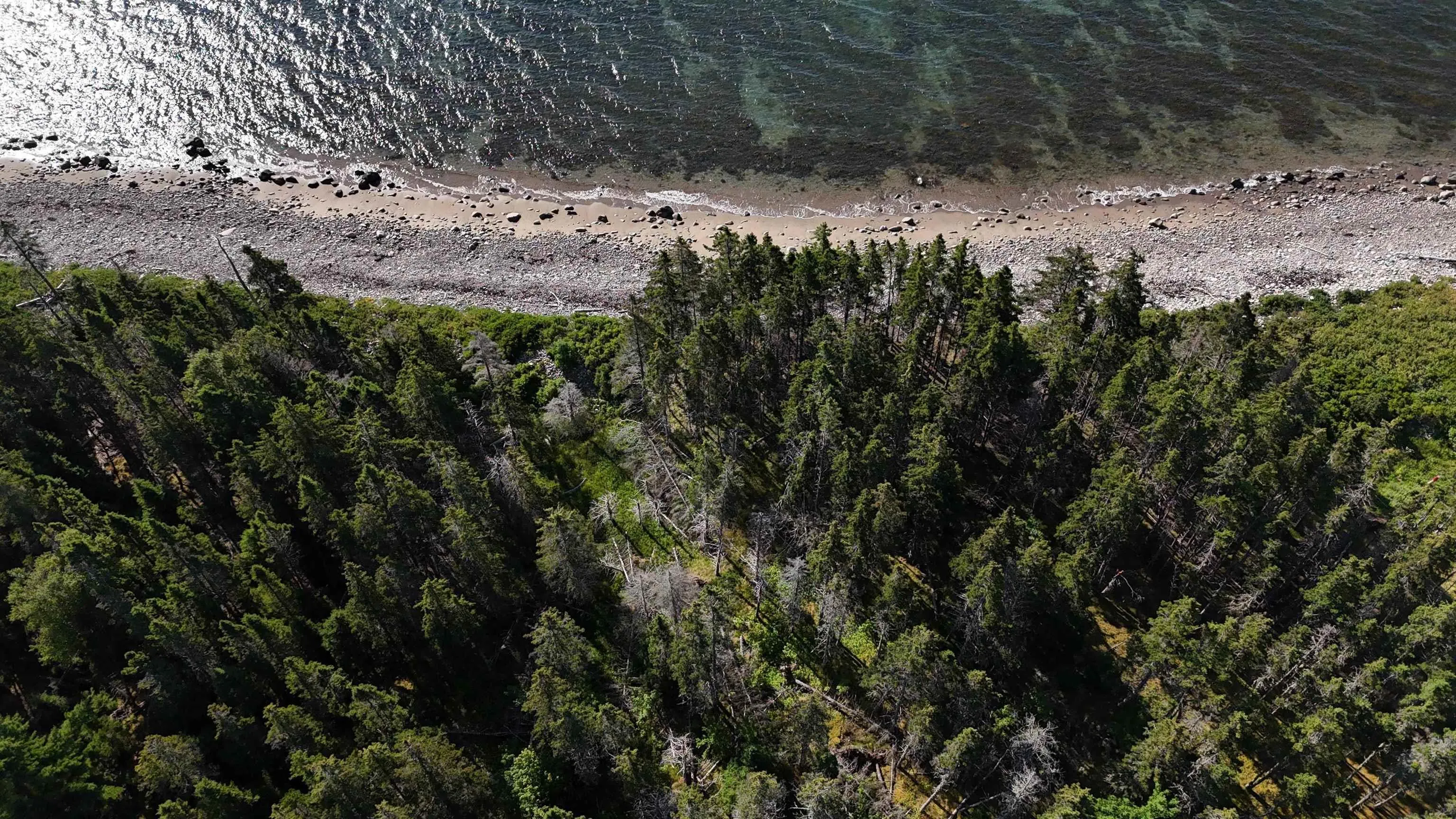 Cabot Trail, Indian Brook, NS B0C 1H0, ,Land,For Sale,Cabot,202518158