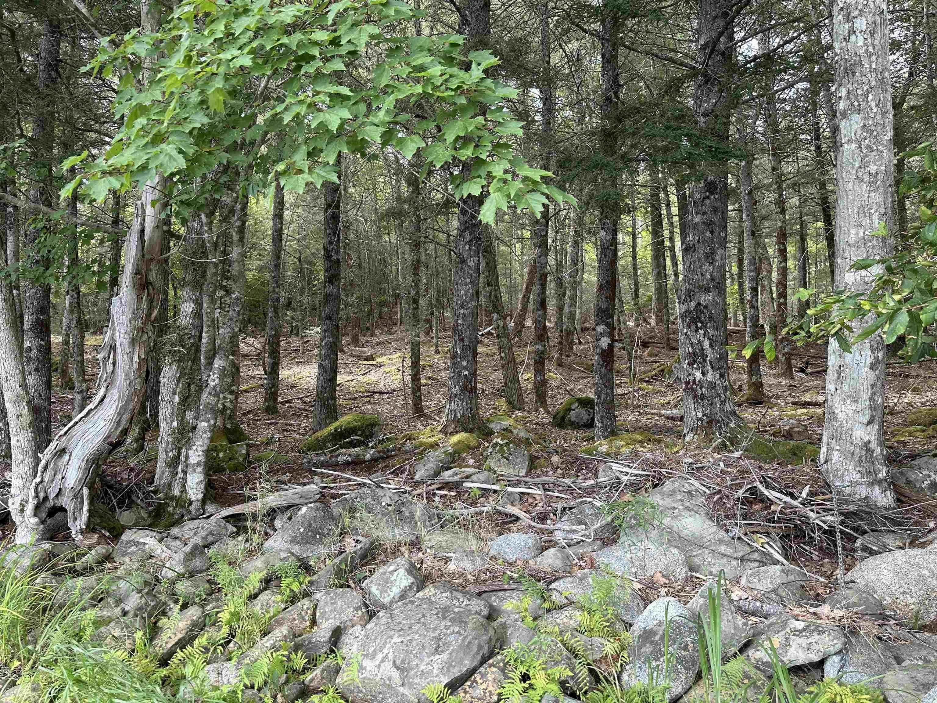 597 Peters Point Road, South Brookfield, NS B0T 1X0, 2 Bedrooms Bedrooms, ,2 BathroomsBathrooms,Residential,For Sale,Peters Point,202521364