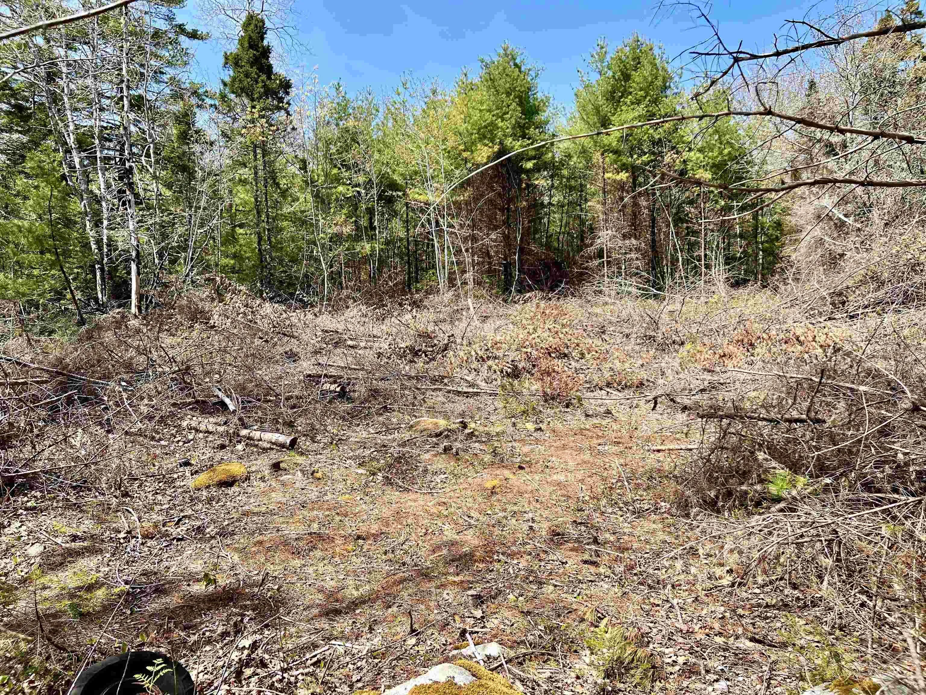 Highway 3, Reids Hill Ns B0t 1w0, ,Land,For Sale,Highway 3,202412517