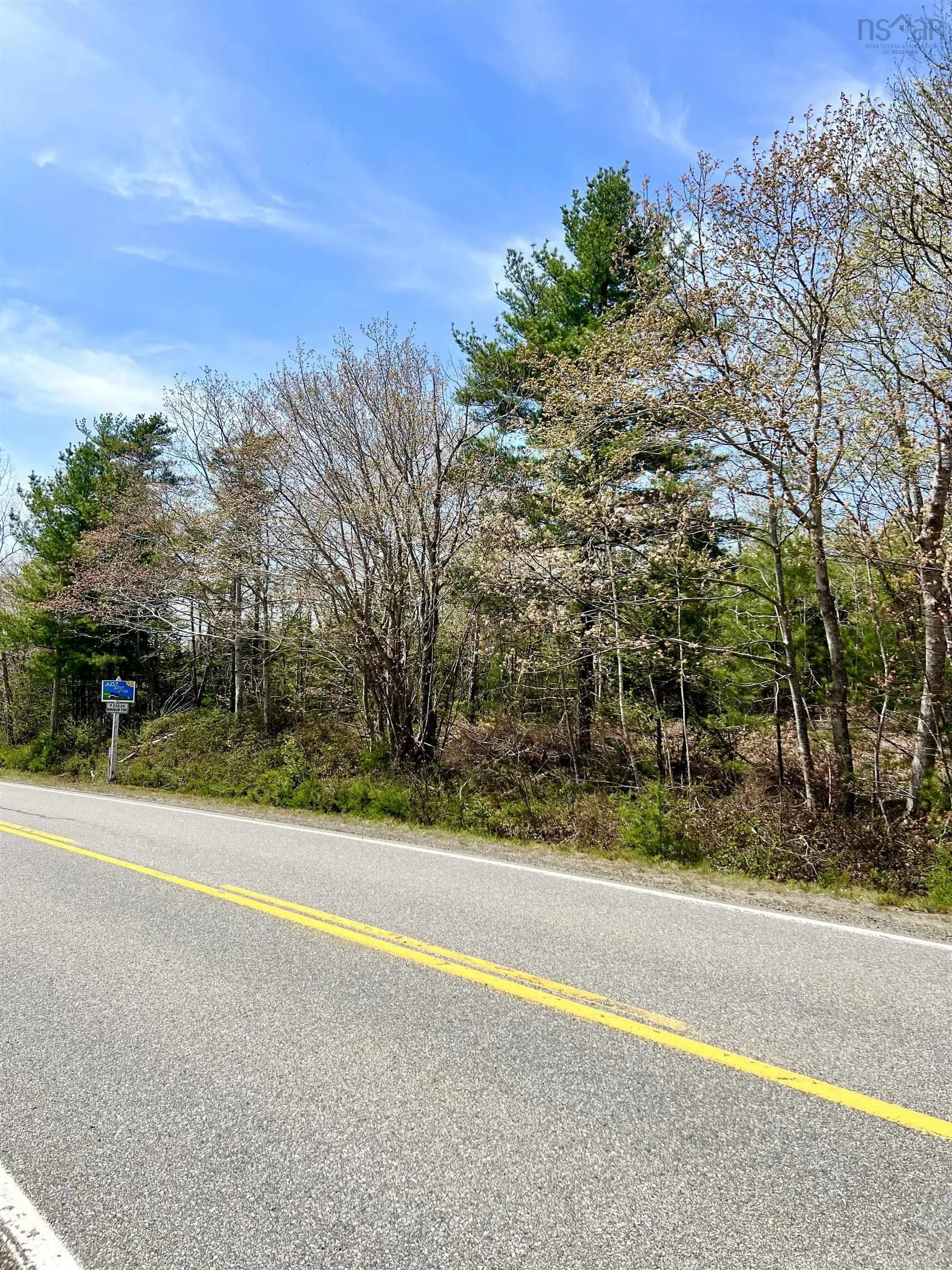 Highway 3, Reids Hill Ns B0t 1w0, ,Land,For Sale,Highway 3,202412517