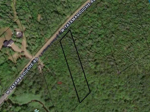 Lot West Tatamagouche Rd, West Tatamagouche Ns B0k 1v0, ,Land,For Sale,West Tatamagouche Rd,202503672