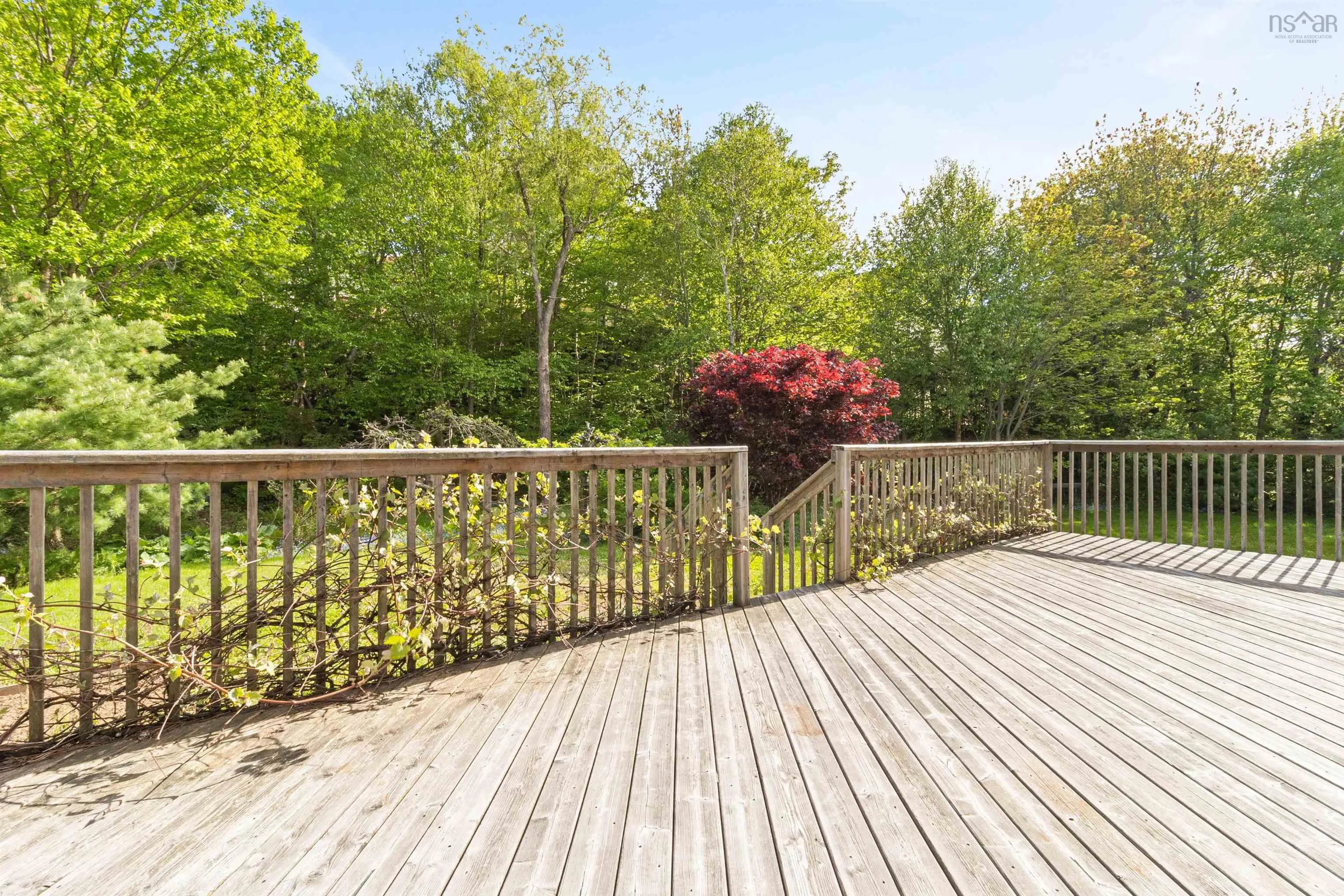 46 Melwood Avenue, Halifax, NS B3N 1E5, 4 Bedrooms Bedrooms, ,4 BathroomsBathrooms,Residential,For Sale,Melwood,202513603