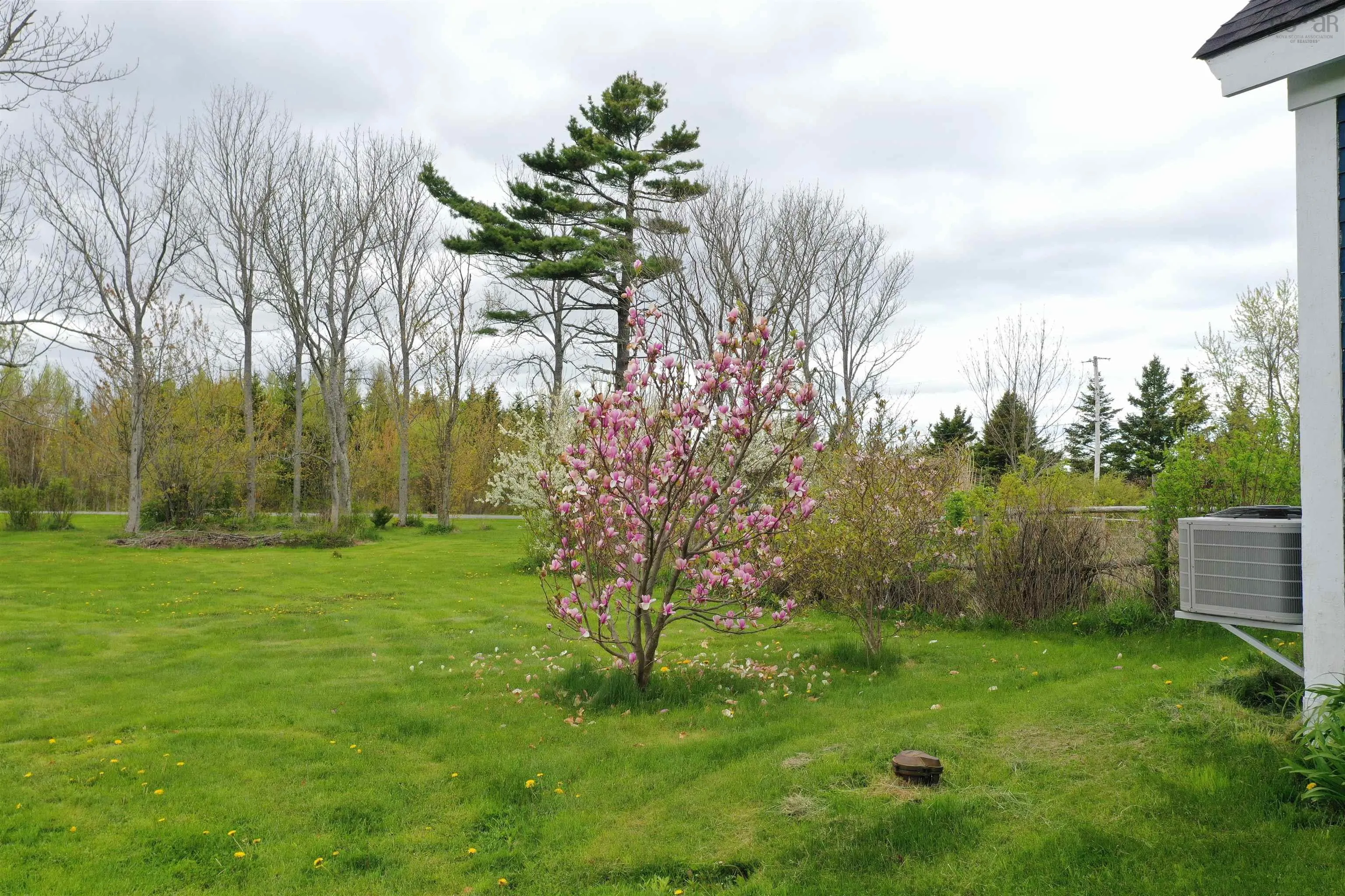 72 Sea Oats Drive, Kings Head, NS B2H 5C4, 3 Bedrooms Bedrooms, ,2 BathroomsBathrooms,Residential,For Sale,Sea Oats,202525588