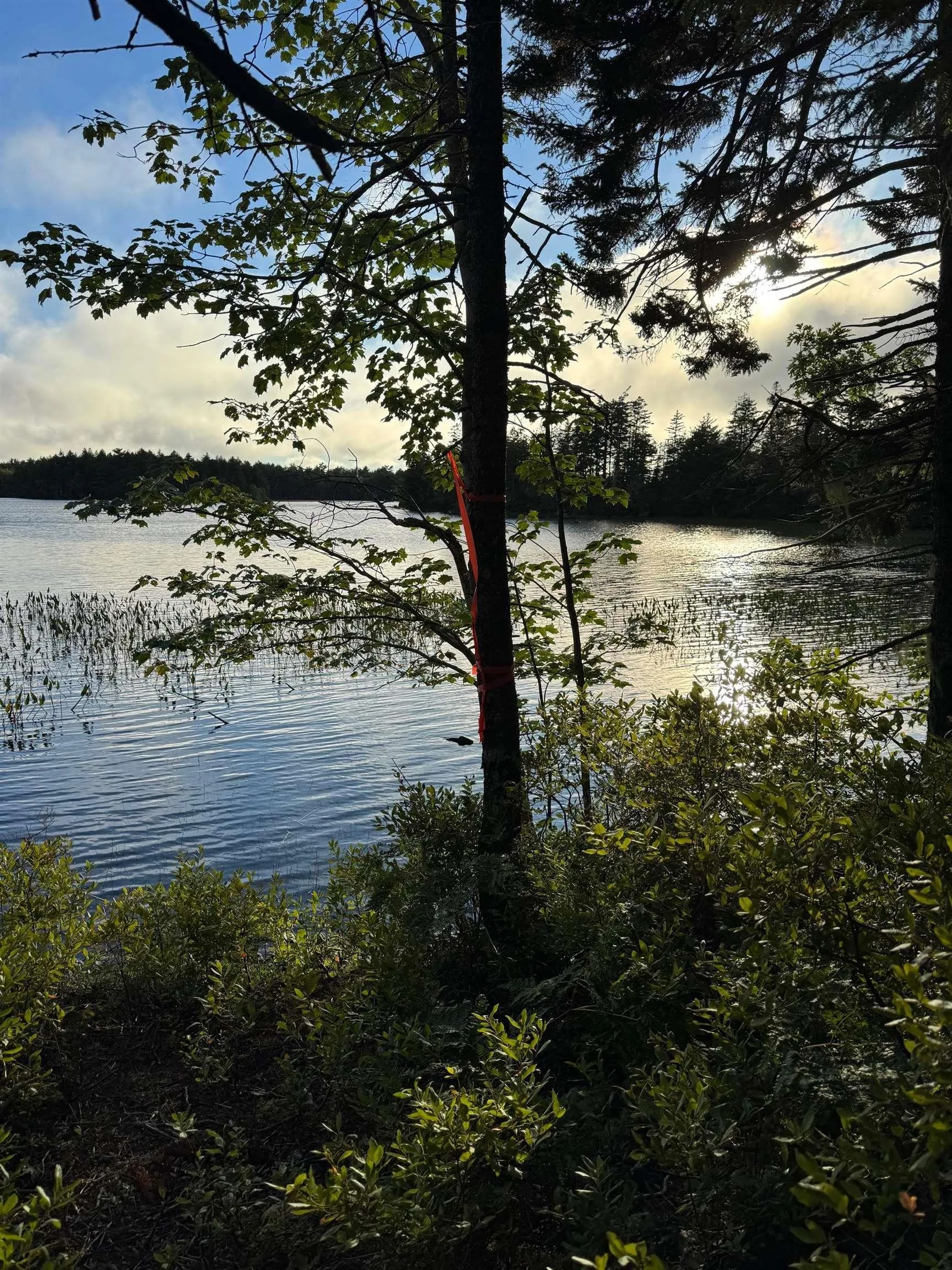 Boscobel Road Road, New Russell, NS B0J 2M0, ,Land,For Sale,Boscobel Road,202524818