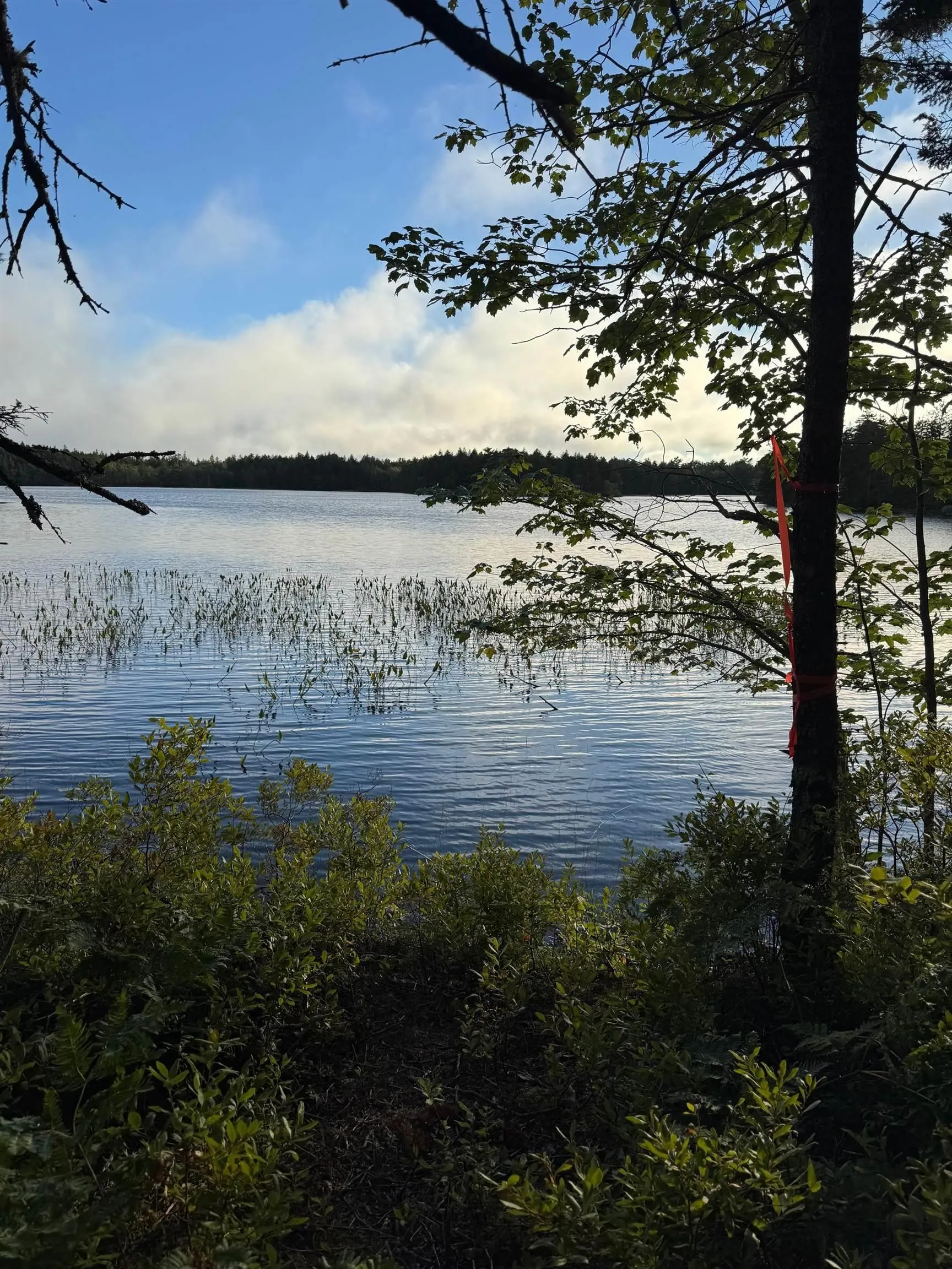 Boscobel Road Road, New Russell, NS B0J 2M0, ,Land,For Sale,Boscobel Road,202524818
