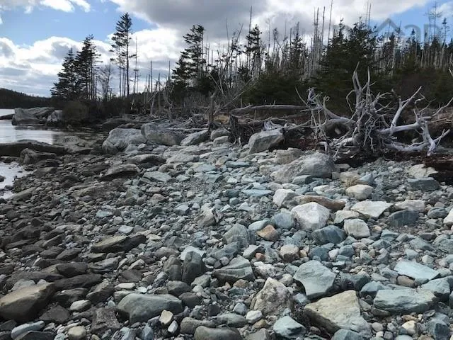 103 Quoddy Drives, West Quoddy Ns B0h 1w0, ,Land,For Sale,Quoddy,202509773