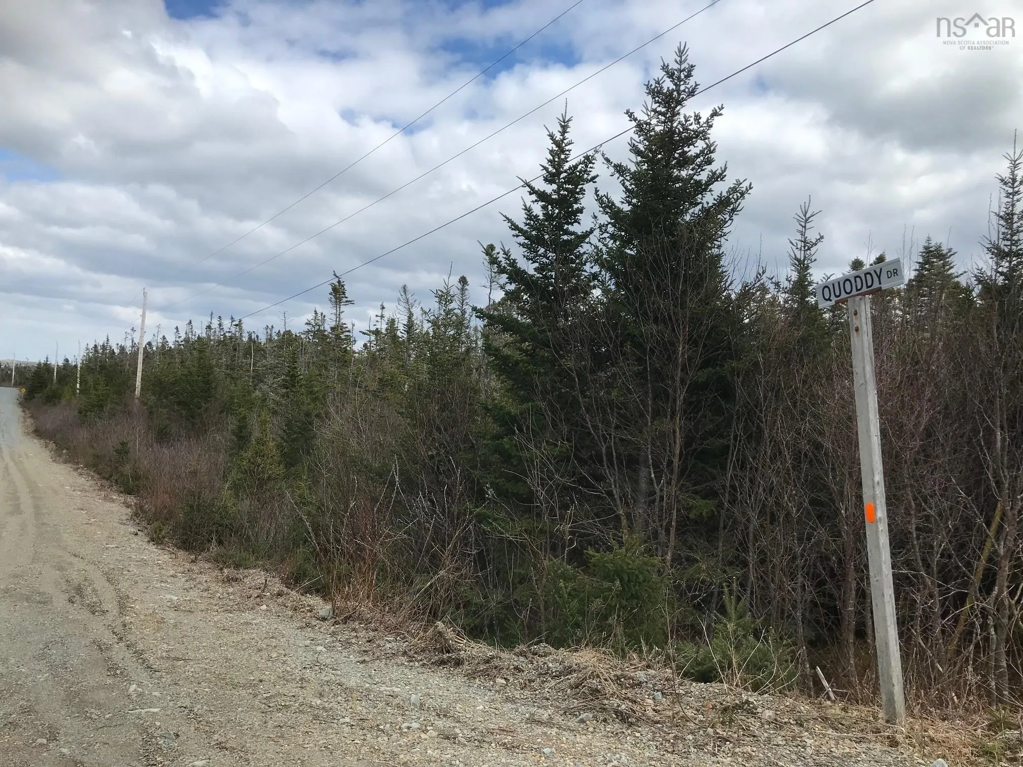 103 Quoddy Drives, West Quoddy Ns B0h 1w0, ,Land,For Sale,Quoddy,202509773