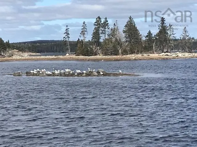 103 Quoddy Drives, West Quoddy Ns B0h 1w0, ,Land,For Sale,Quoddy,202509773