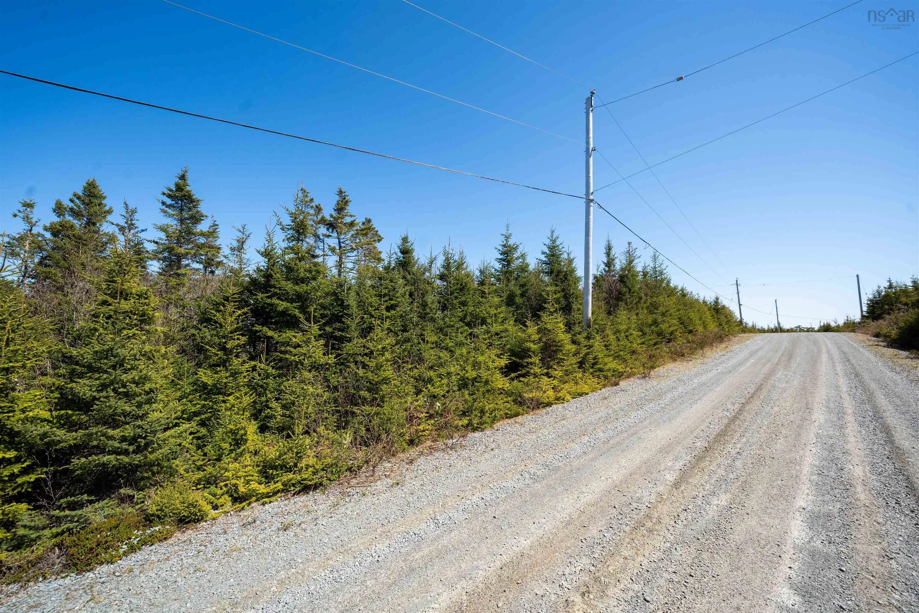 94 Beaver Drive, Port Dufferin, NS B0J 2R0, ,Land,For Sale,Beaver,202511469