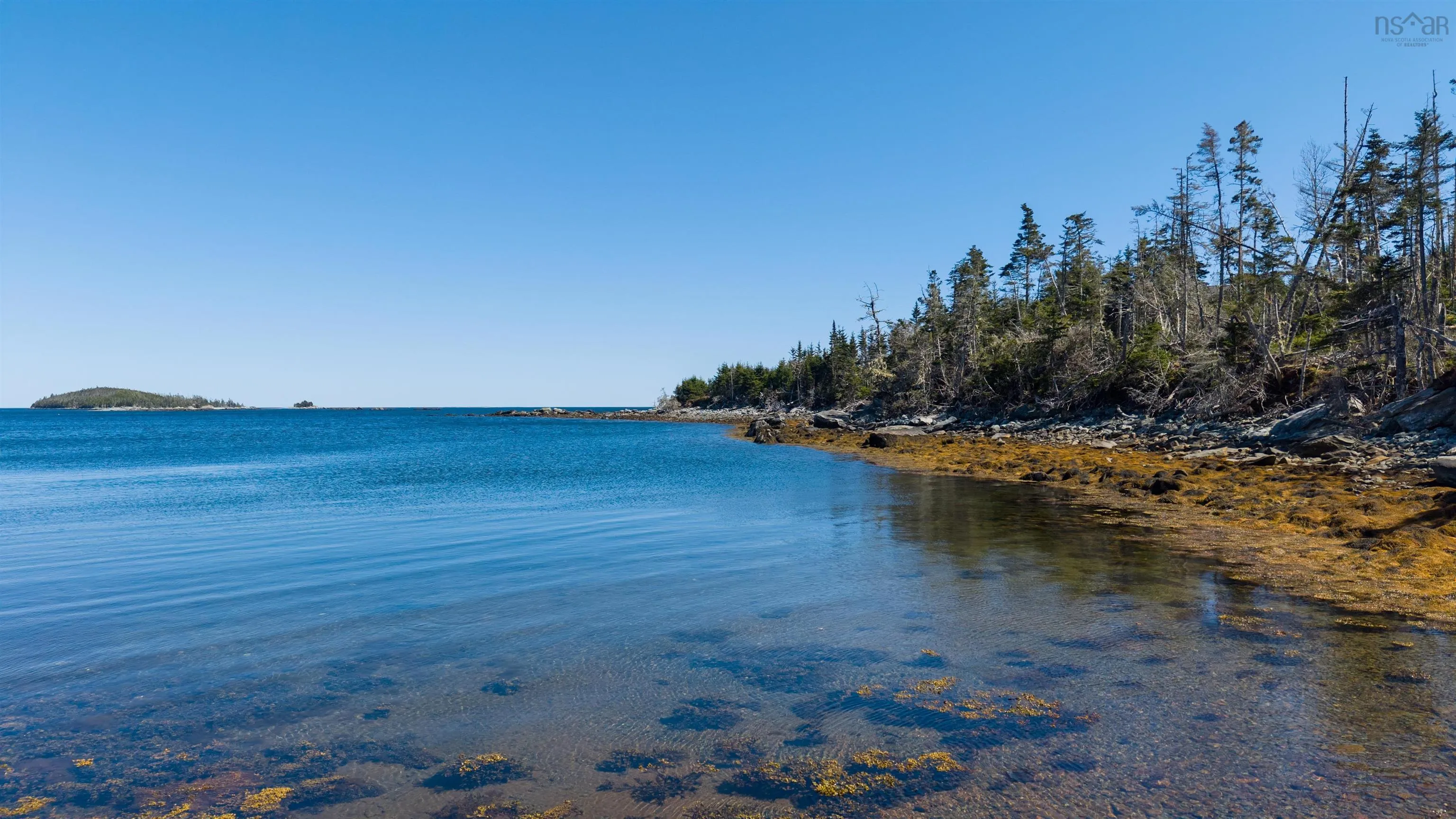 94 Beaver Drive, Port Dufferin, NS B0J 2R0, ,Land,For Sale,Beaver,202511469