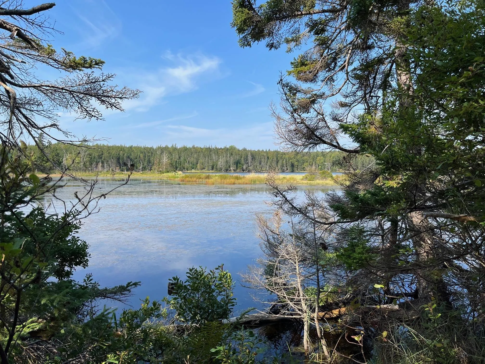 3552 Washabuck Road, Upper Washabuck NS B2C 1M2, 3 Bedrooms Bedrooms, ,1 BathroomBathrooms,Residential,For Sale,Washabuck,202320113