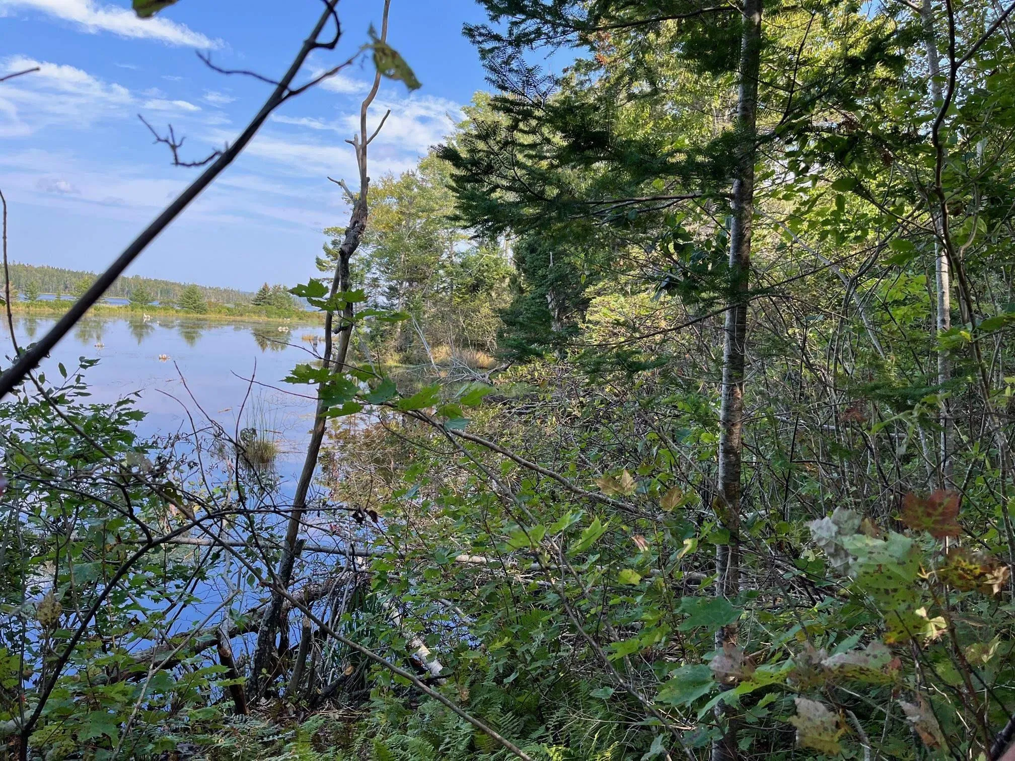 3552 Washabuck Road, Upper Washabuck NS B2C 1M2, 3 Bedrooms Bedrooms, ,1 BathroomBathrooms,Residential,For Sale,Washabuck,202320113