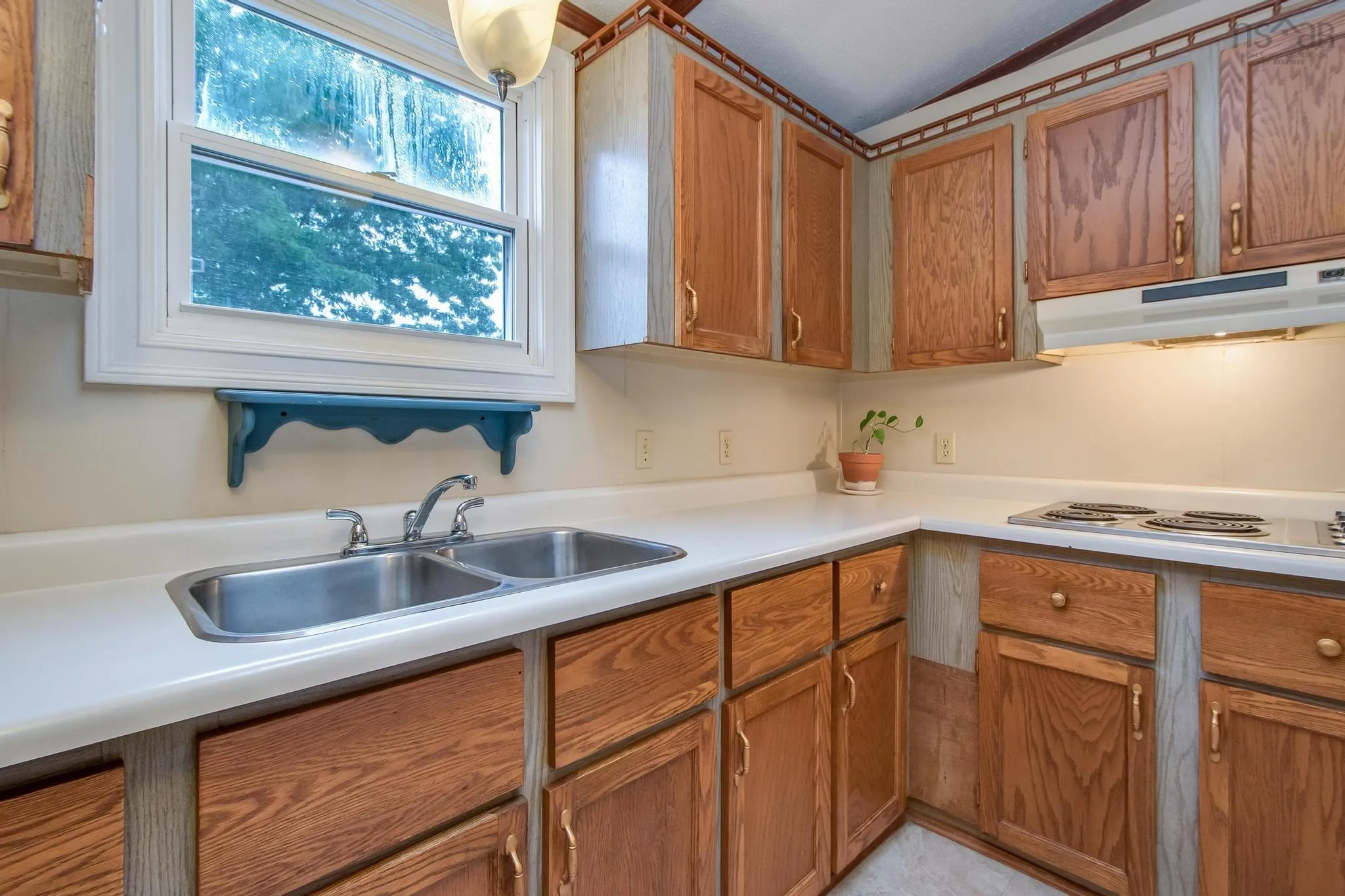 1 Wilson Avenue, Dartmouth, NS B2Y 2B2, 3 Bedrooms Bedrooms, ,2 BathroomsBathrooms,Residential,For Sale,Wilson,202518420