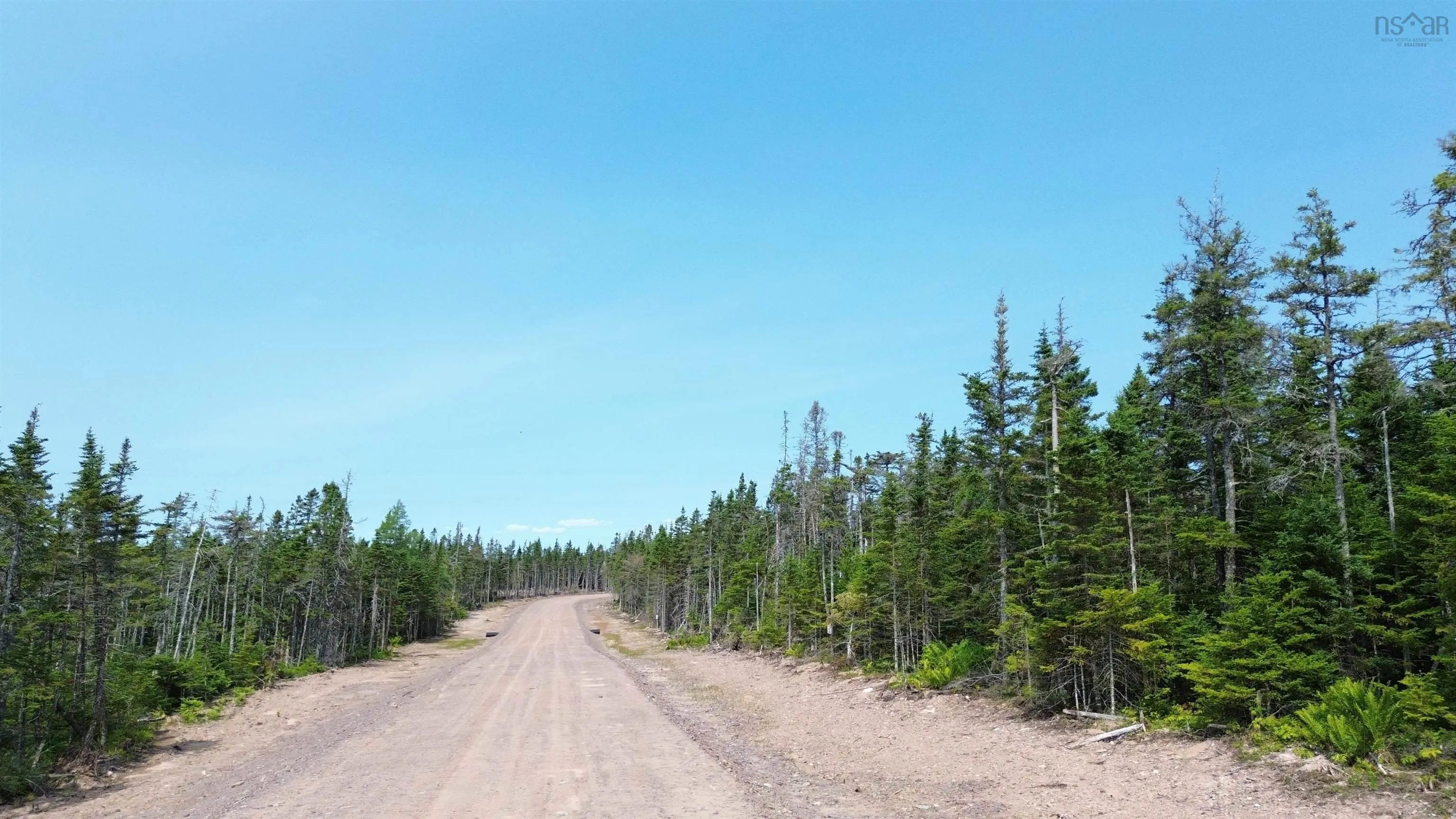 Lot 8 Highway 247, Grand Greve Ns B0e 3b0, ,Land,For Sale,Highway 247,202421726