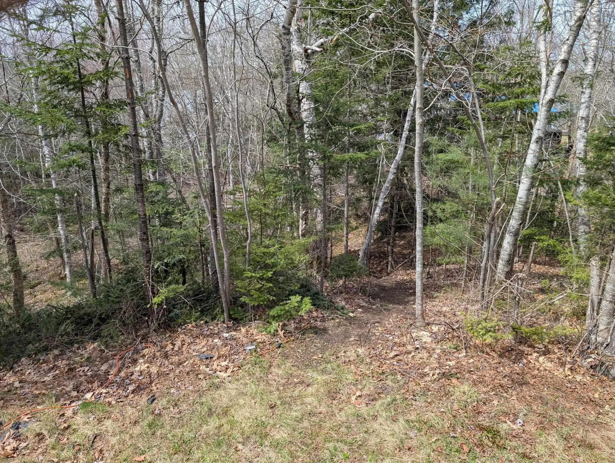 94 Welsh Road, Eight Island Lake Ns B0h 1m0, 2 Bedrooms Bedrooms, ,1 BathroomBathrooms,Residential,For Sale,Welsh Road,202508401