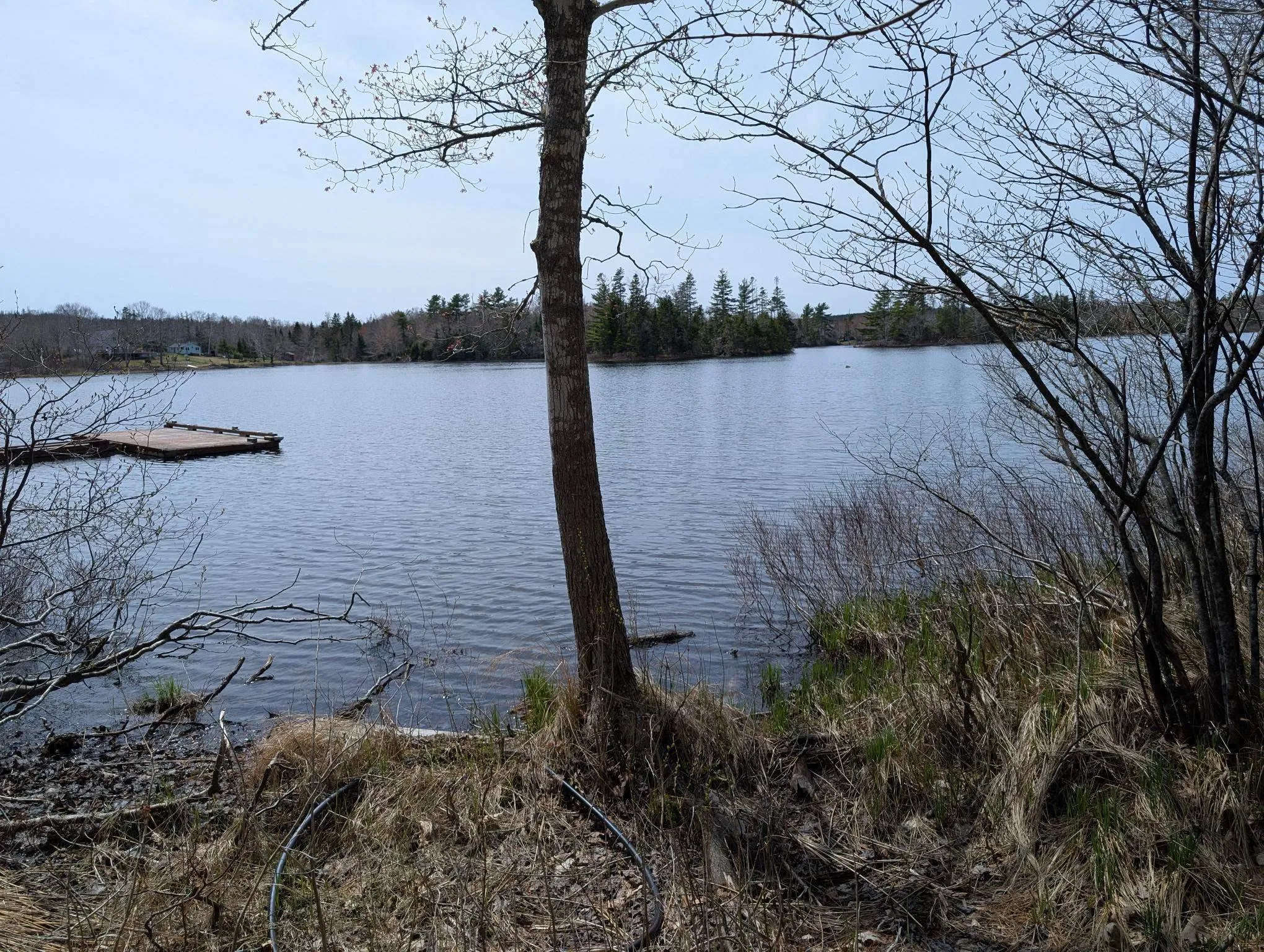 94 Welsh Road, Eight Island Lake Ns B0h 1m0, 2 Bedrooms Bedrooms, ,1 BathroomBathrooms,Residential,For Sale,Welsh Road,202508401