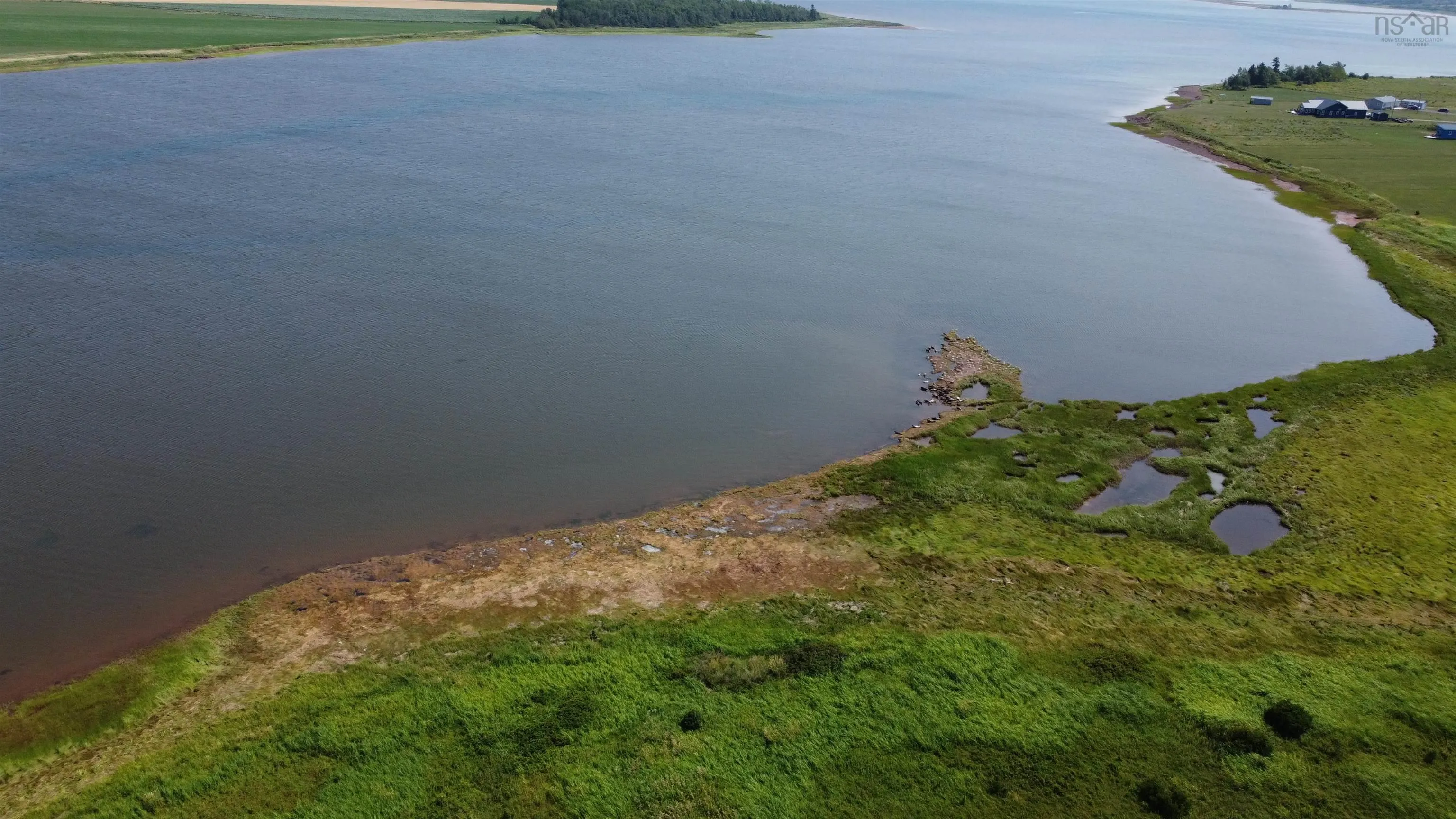 Lot 1 No 6 Highway, Port Howe, NS B0K 1K0, ,Land,For Sale,No 6 Highway, Port Howe, Ns B0k 1k0,202521580