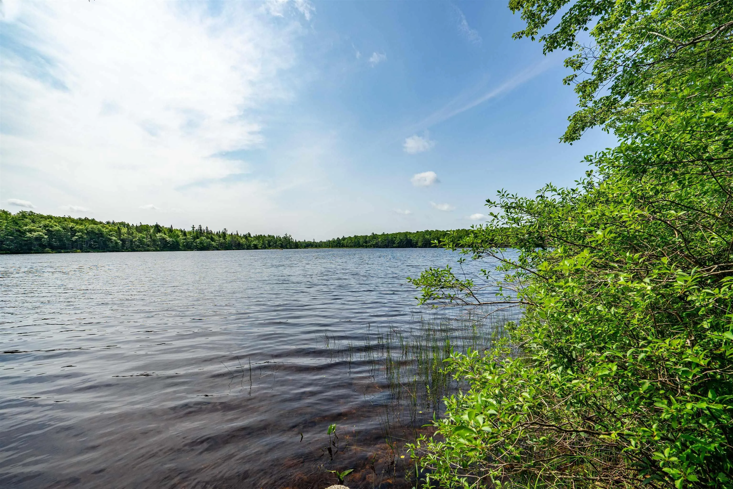 Victory Road Lot 6, Victory Ns B0s 1a0, ,Land,For Sale,Victory,202509828