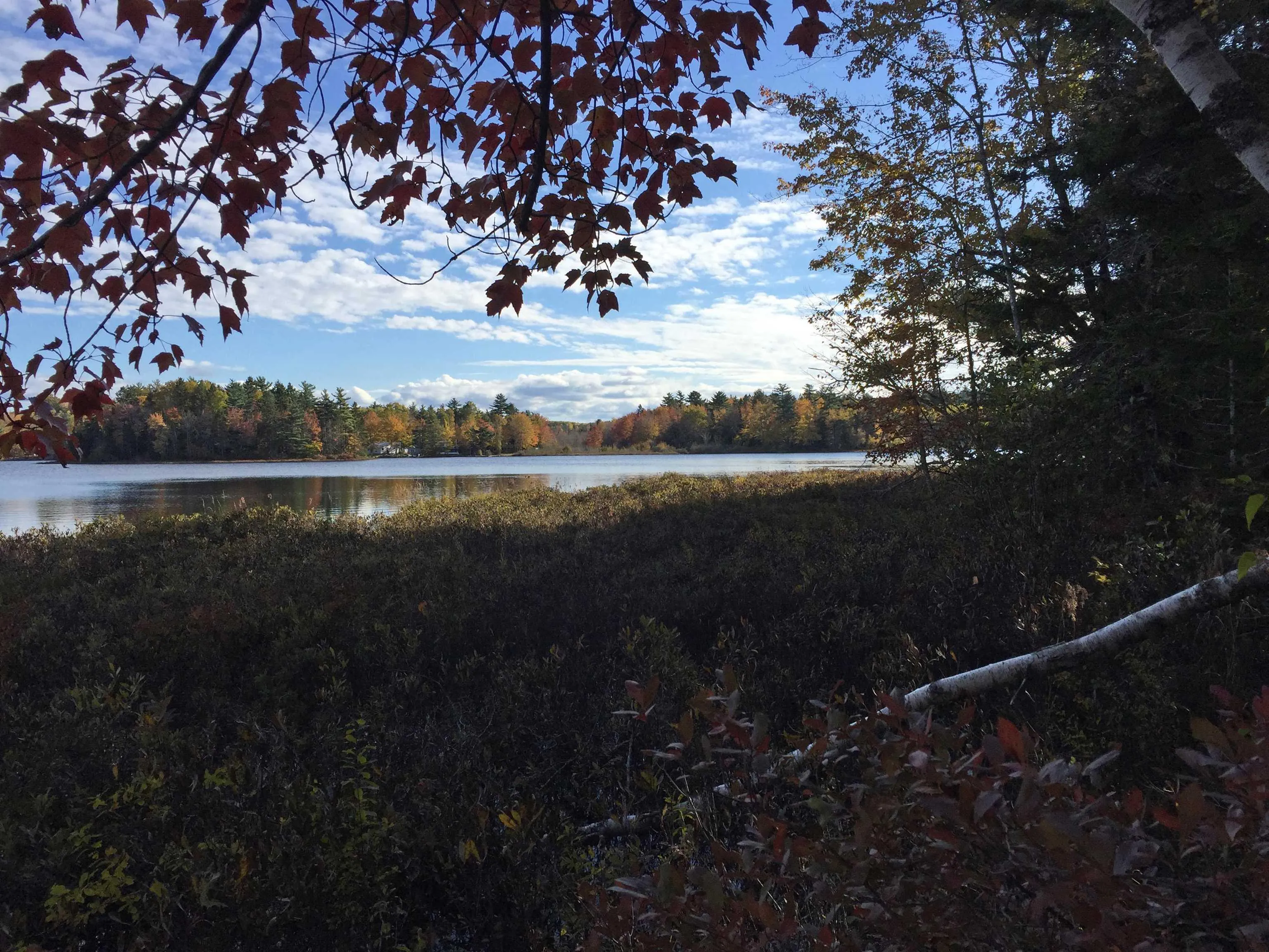 Plamu Road Lot 23, East Clifford, NS B4V 7S4, ,Land,For Sale,Plamu,202514527