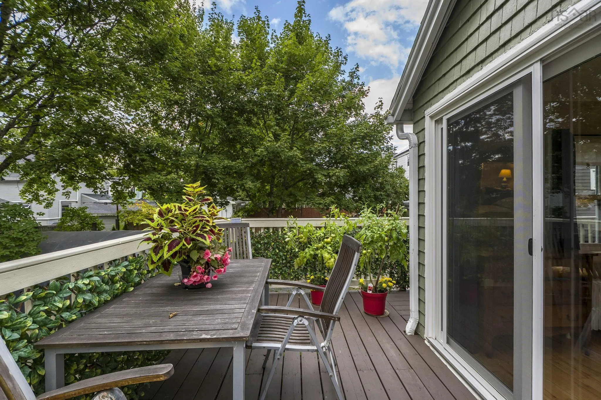 2512 Poplar Street, Halifax, NS B3L 2Y8, 3 Bedrooms Bedrooms, ,2 BathroomsBathrooms,Residential,For Sale,Poplar,202524279