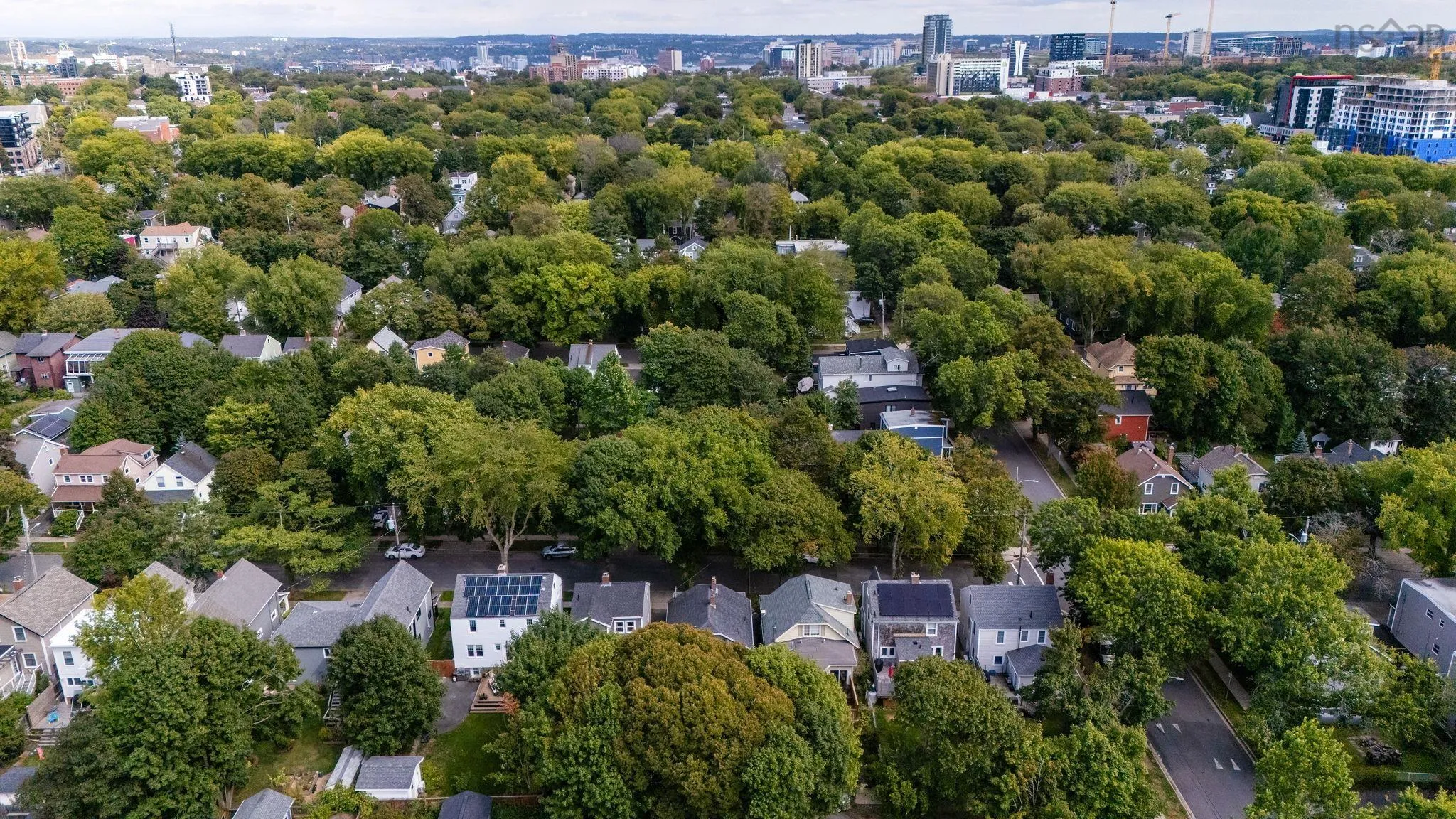 2512 Poplar Street, Halifax, NS B3L 2Y8, 3 Bedrooms Bedrooms, ,2 BathroomsBathrooms,Residential,For Sale,Poplar,202524279