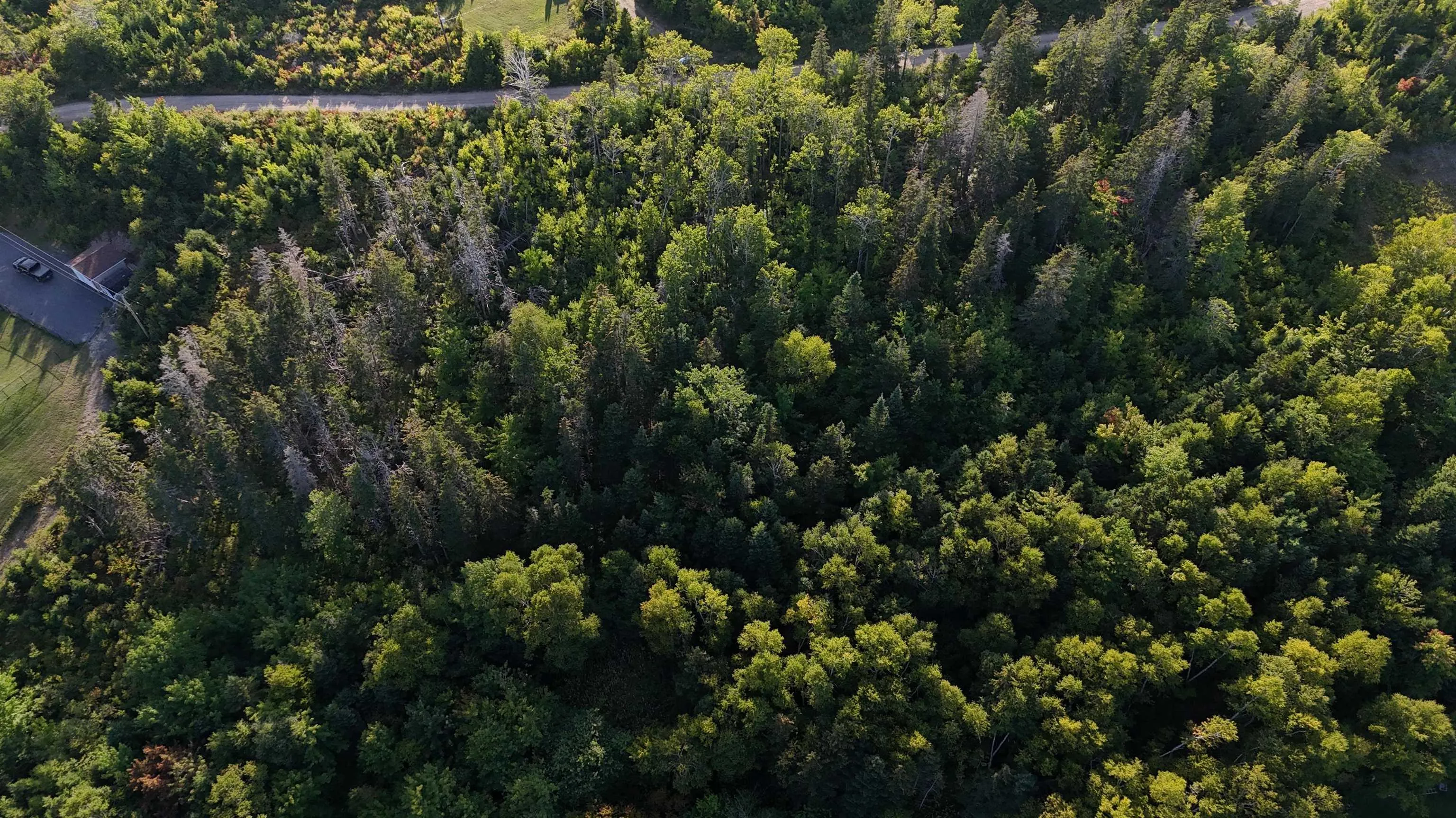 Cabot Trail, Ingonish, NS B0C 1N0, ,Land,For Sale,Cabot,202523633