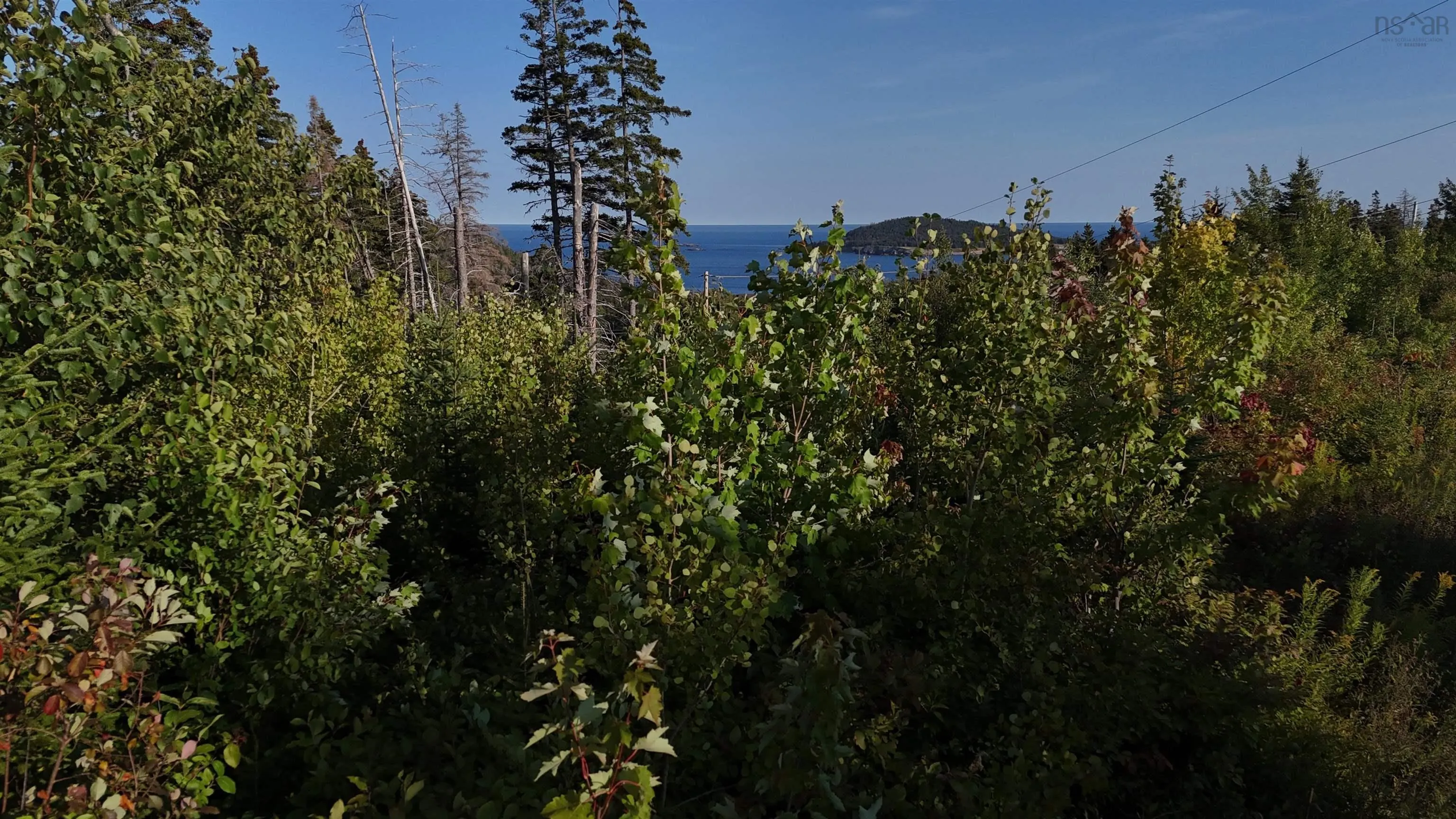 Cabot Trail, Ingonish, NS B0C 1N0, ,Land,For Sale,Cabot,202523633
