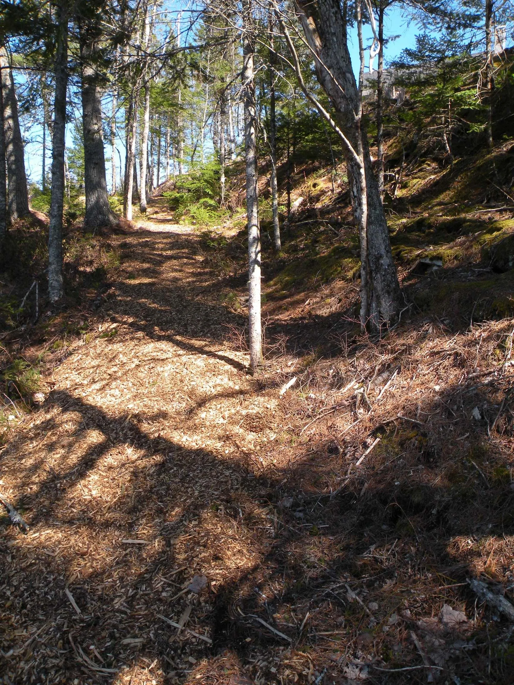 349 Meek Arm Trail, Long Lake Ns B0n 1z0, 3 Bedrooms Bedrooms, ,4 BathroomsBathrooms,Residential,For Sale,Meek Arm,202405397