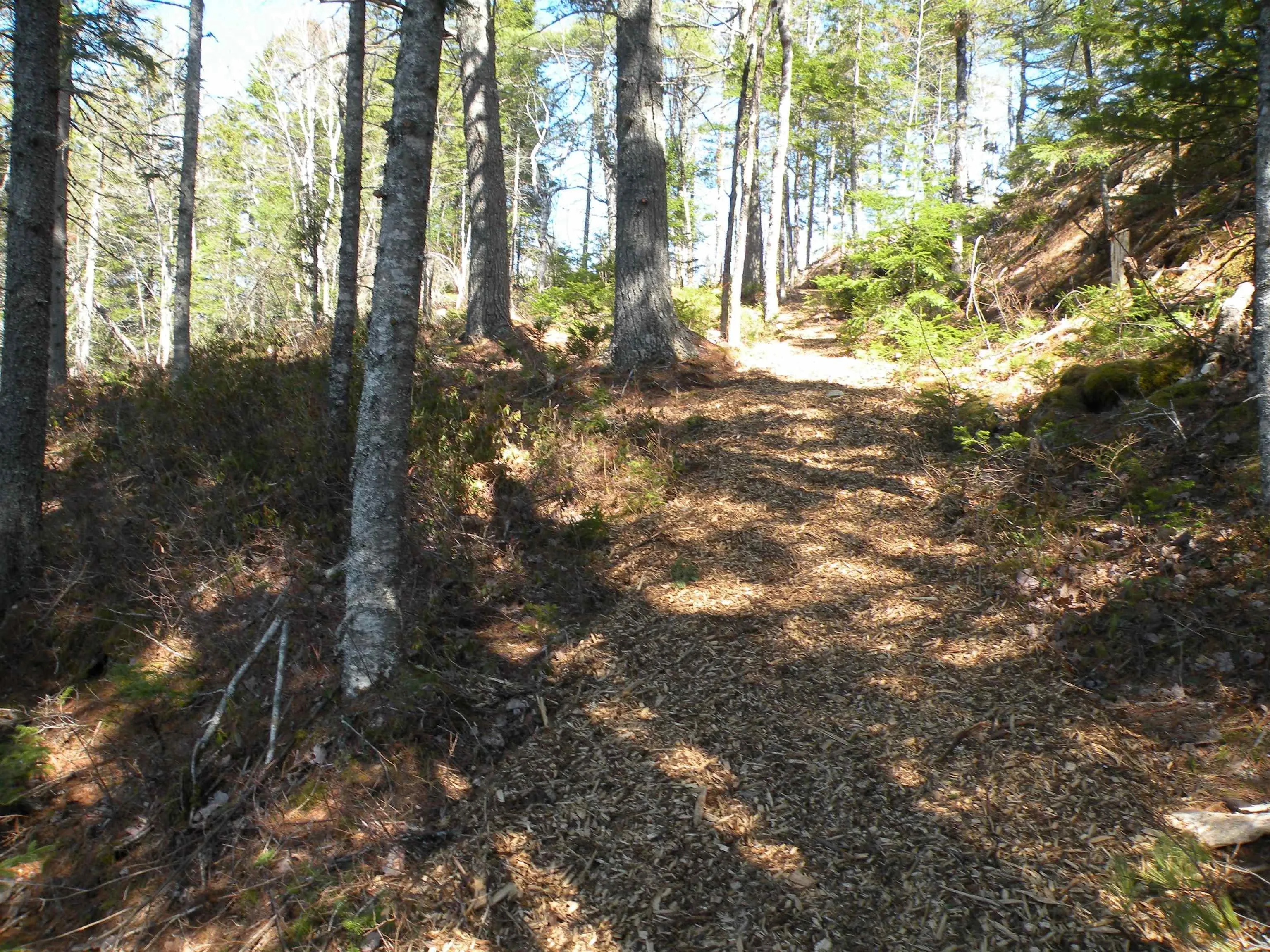 349 Meek Arm Trail, Long Lake Ns B0n 1z0, 3 Bedrooms Bedrooms, ,4 BathroomsBathrooms,Residential,For Sale,Meek Arm,202405397
