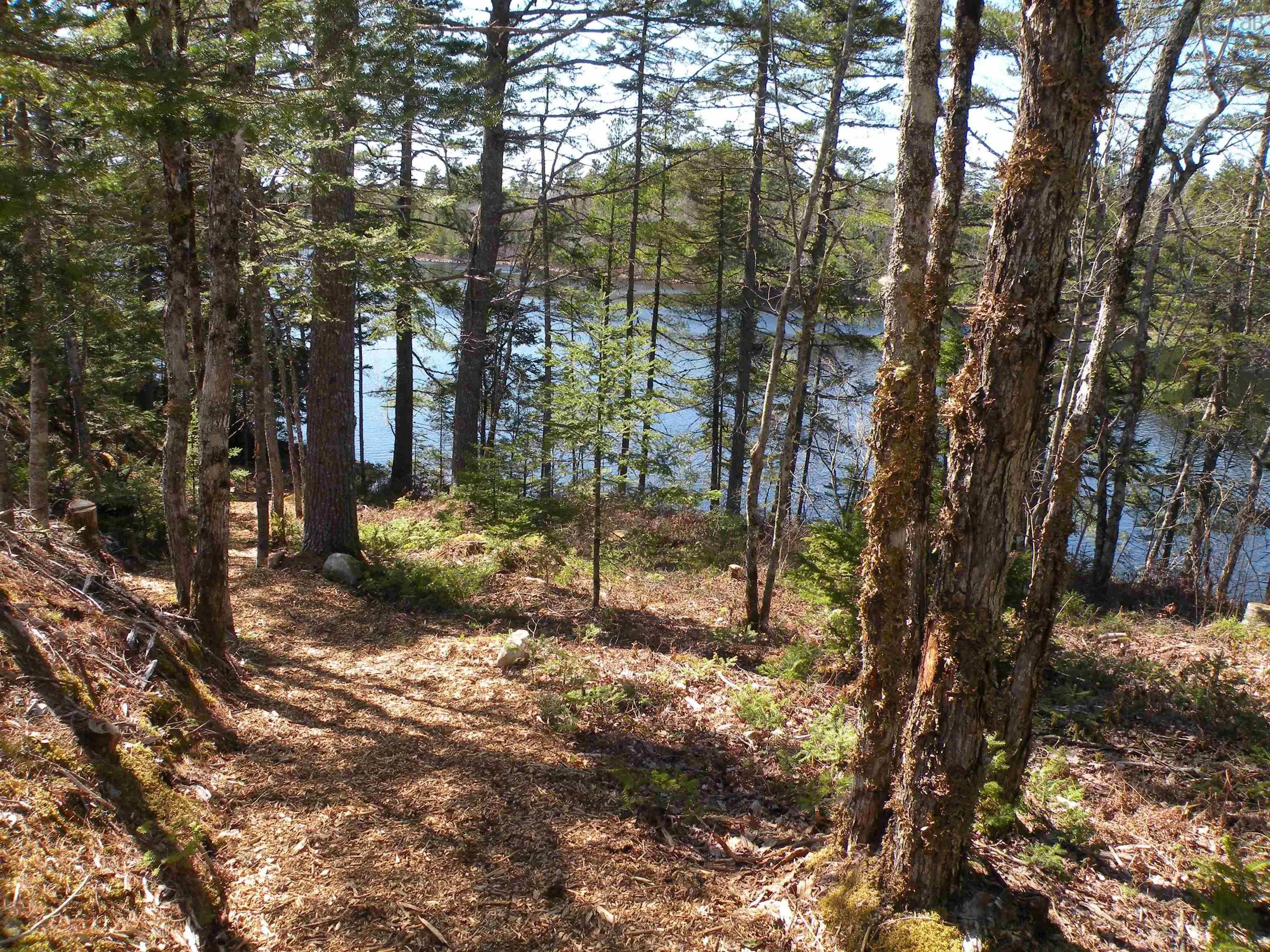 349 Meek Arm Trail, Long Lake Ns B0n 1z0, 3 Bedrooms Bedrooms, ,4 BathroomsBathrooms,Residential,For Sale,Meek Arm,202405397