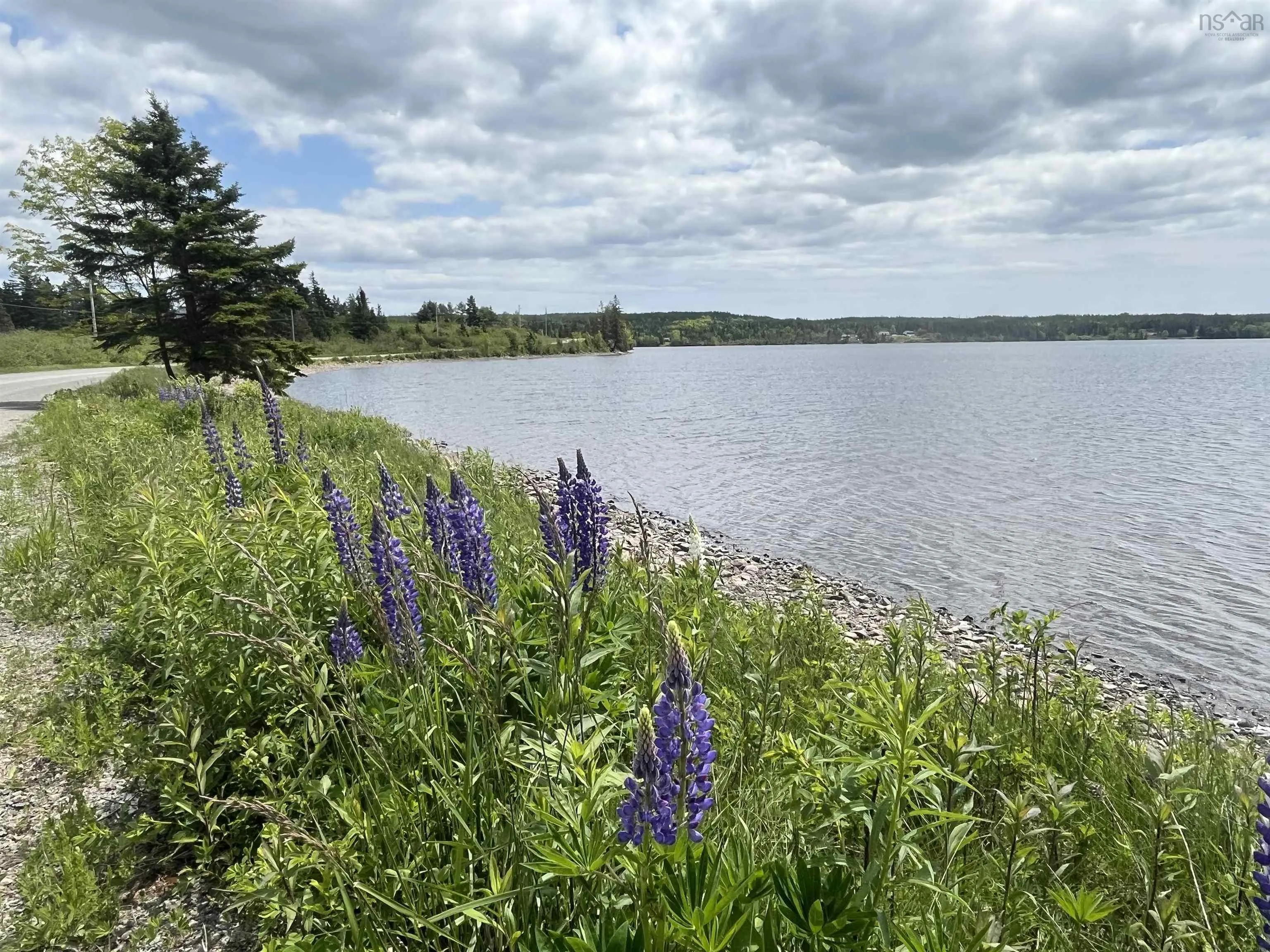 1045 North Side Loch Lomond Road, Loch Lomond, NS B2E 1C4, 2 Bedrooms Bedrooms, ,2 BathroomsBathrooms,Residential,For Sale,North Side Loch Lomond,202514274