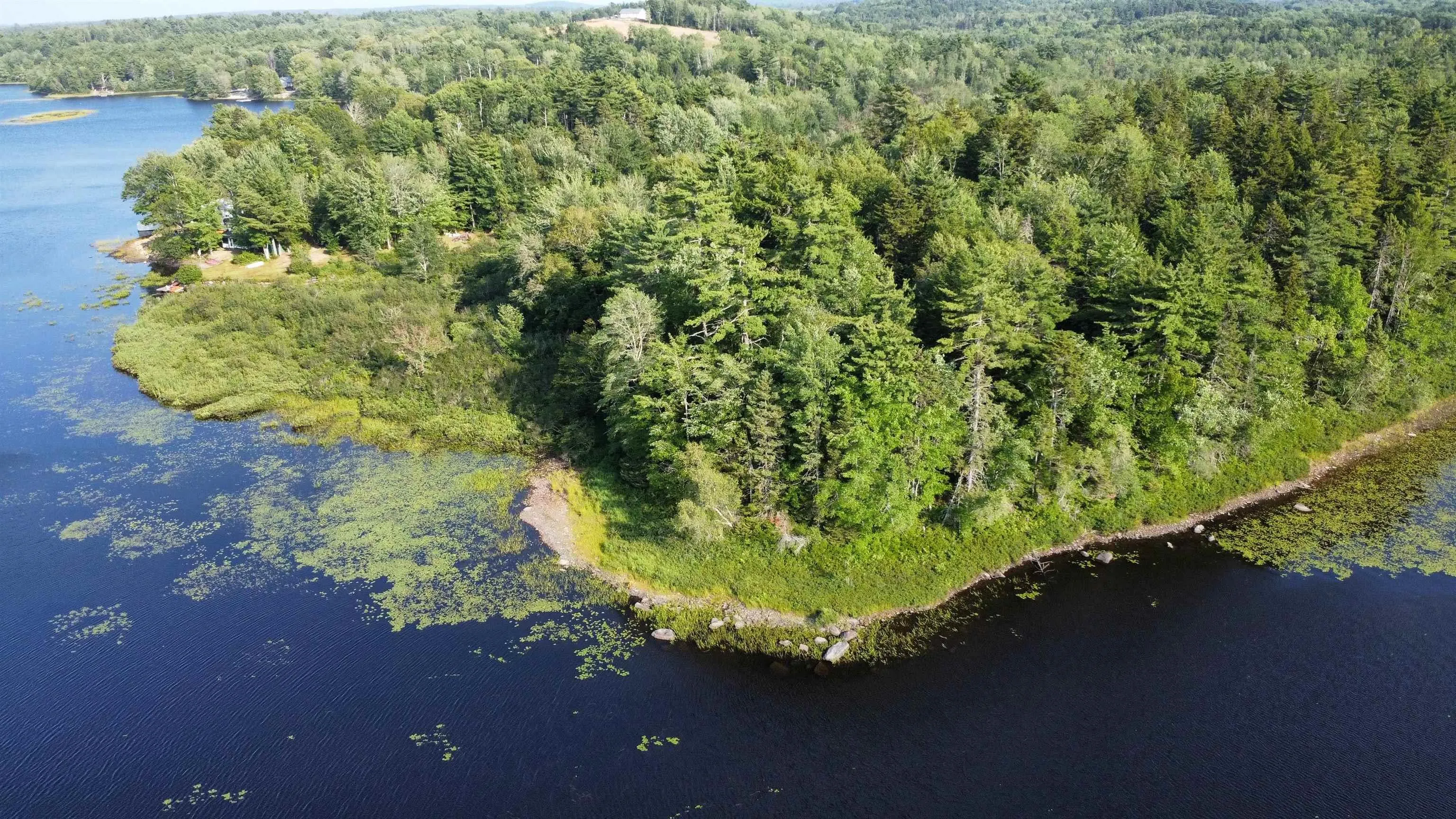 Pid# 60668795 Highway 325, West Clifford, NS B4V 8J1, ,Land,For Sale,Pid# 60668795 Highway 325,202519213