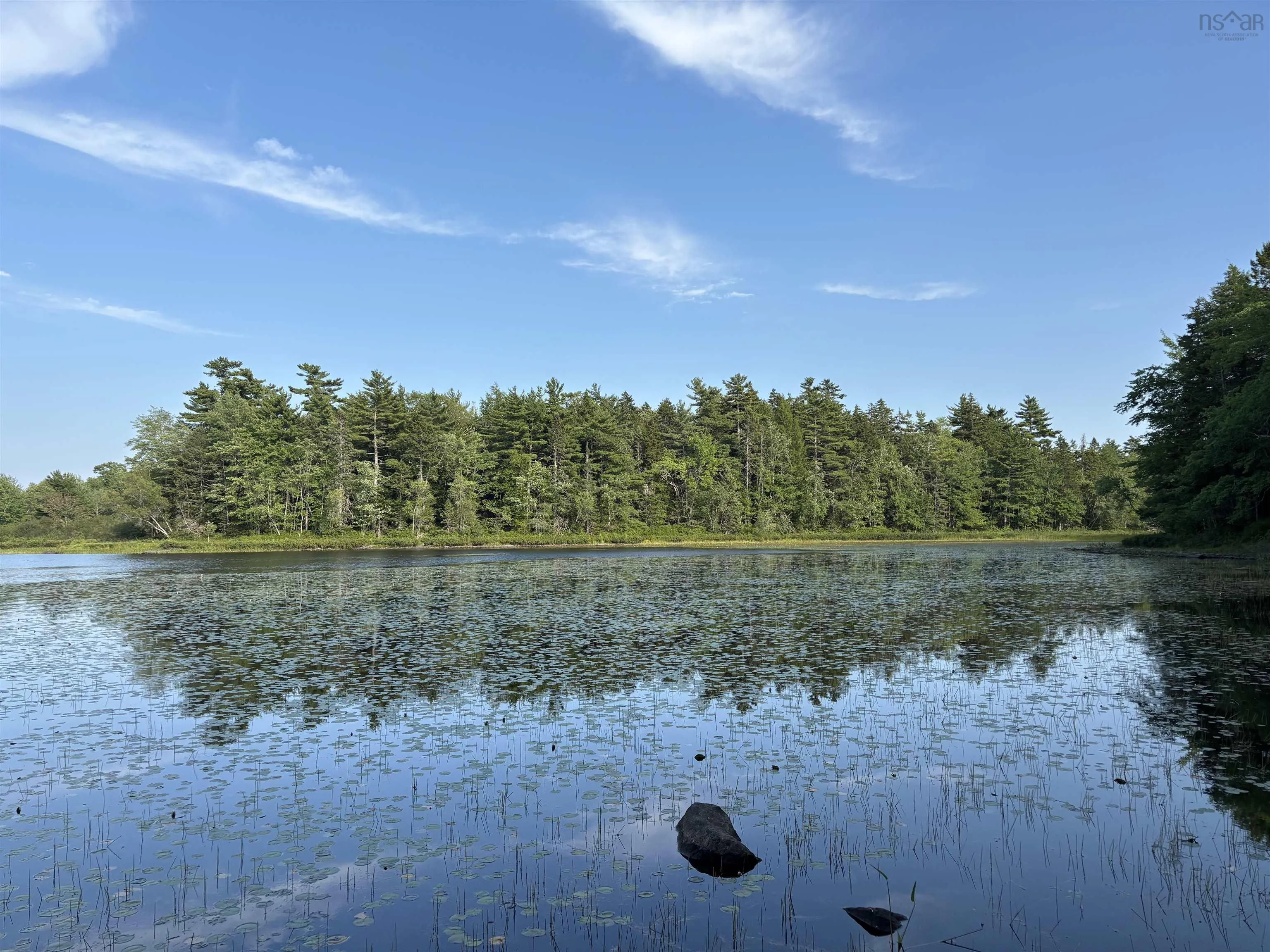 Pid# 60668795 Highway 325, West Clifford, NS B4V 8J1, ,Land,For Sale,Pid# 60668795 Highway 325,202519213