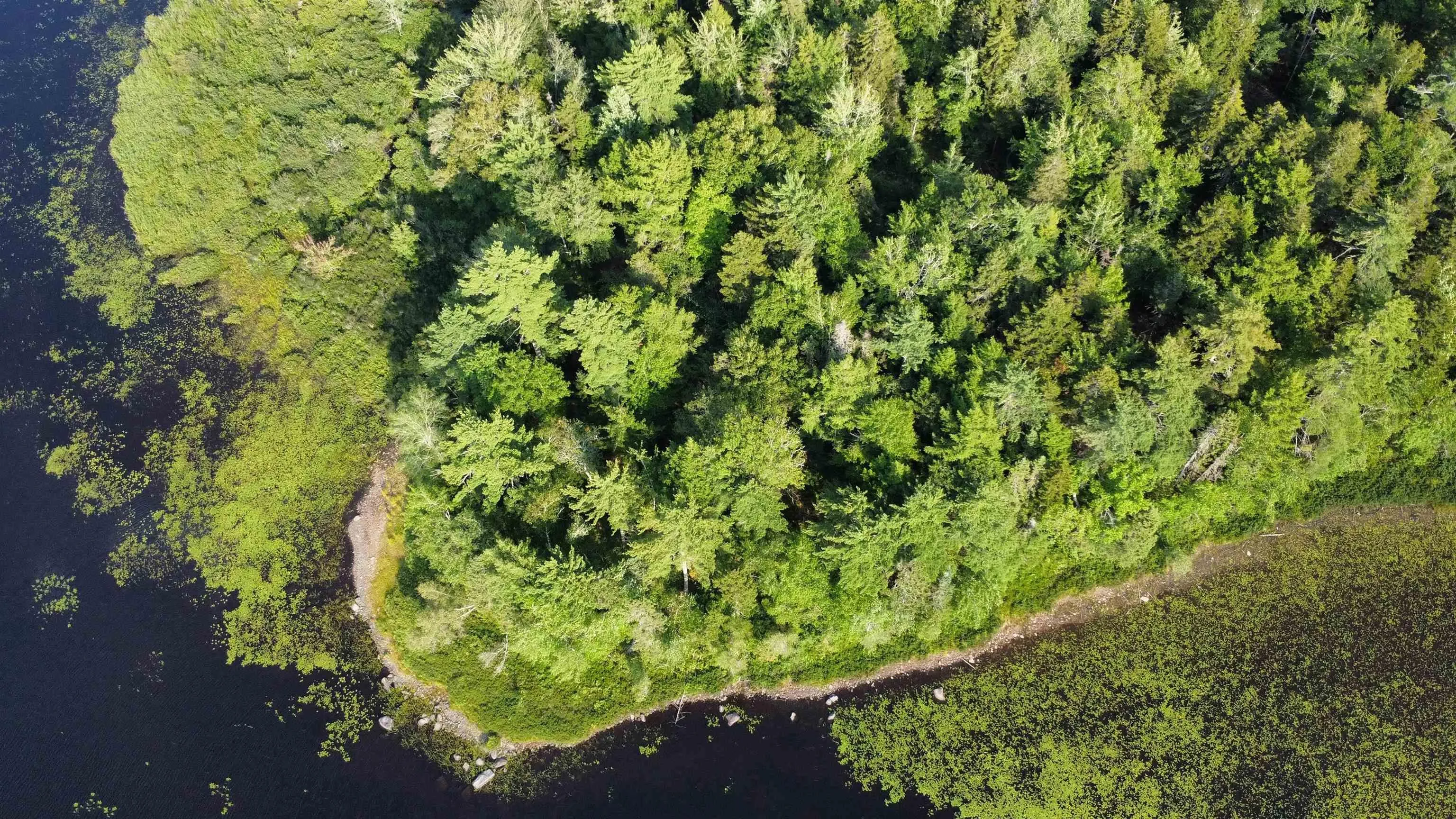 Pid# 60668795 Highway 325, West Clifford, NS B4V 8J1, ,Land,For Sale,Pid# 60668795 Highway 325,202519213