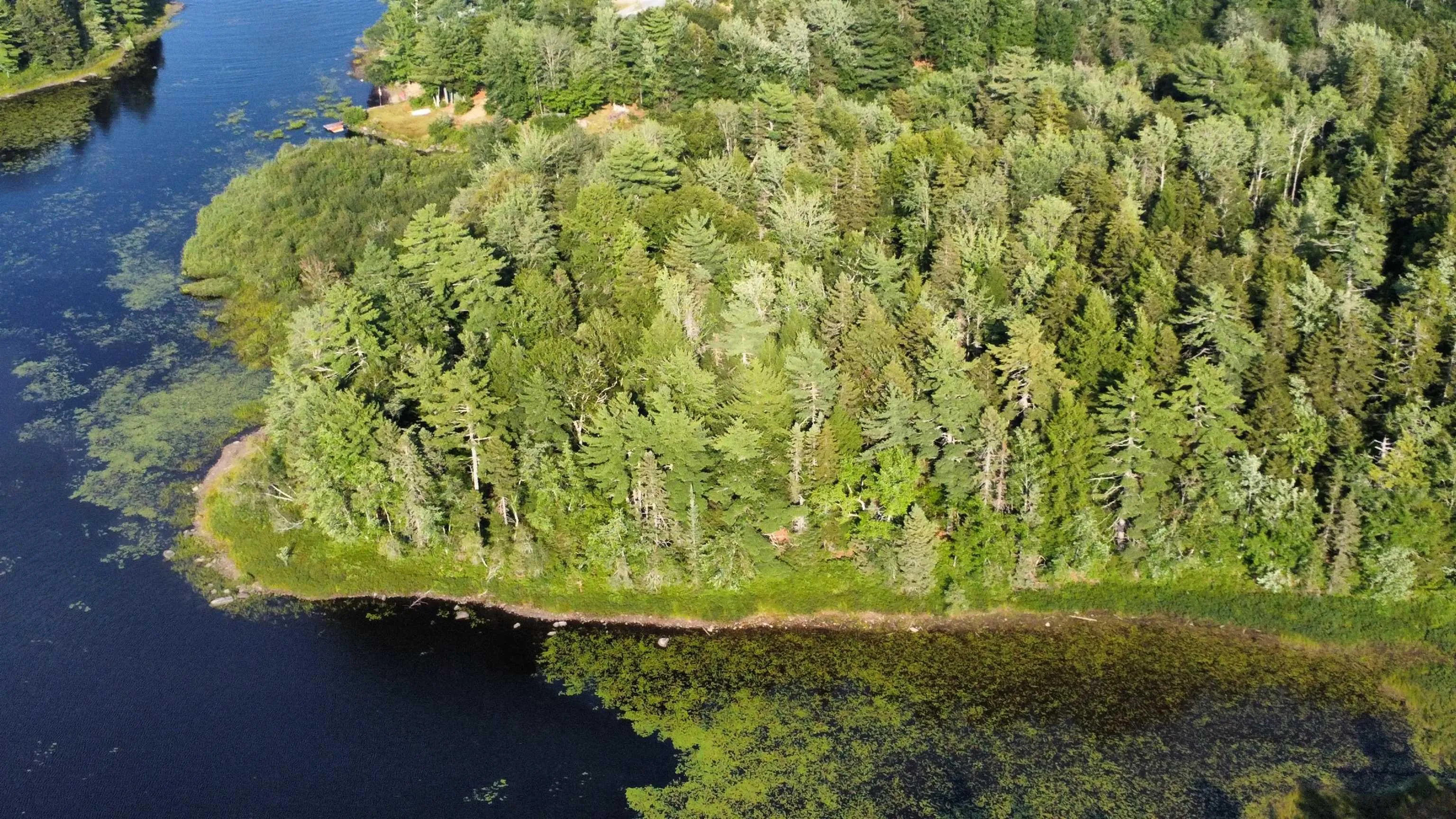 Pid# 60668795 Highway 325, West Clifford, NS B4V 8J1, ,Land,For Sale,Pid# 60668795 Highway 325,202519213