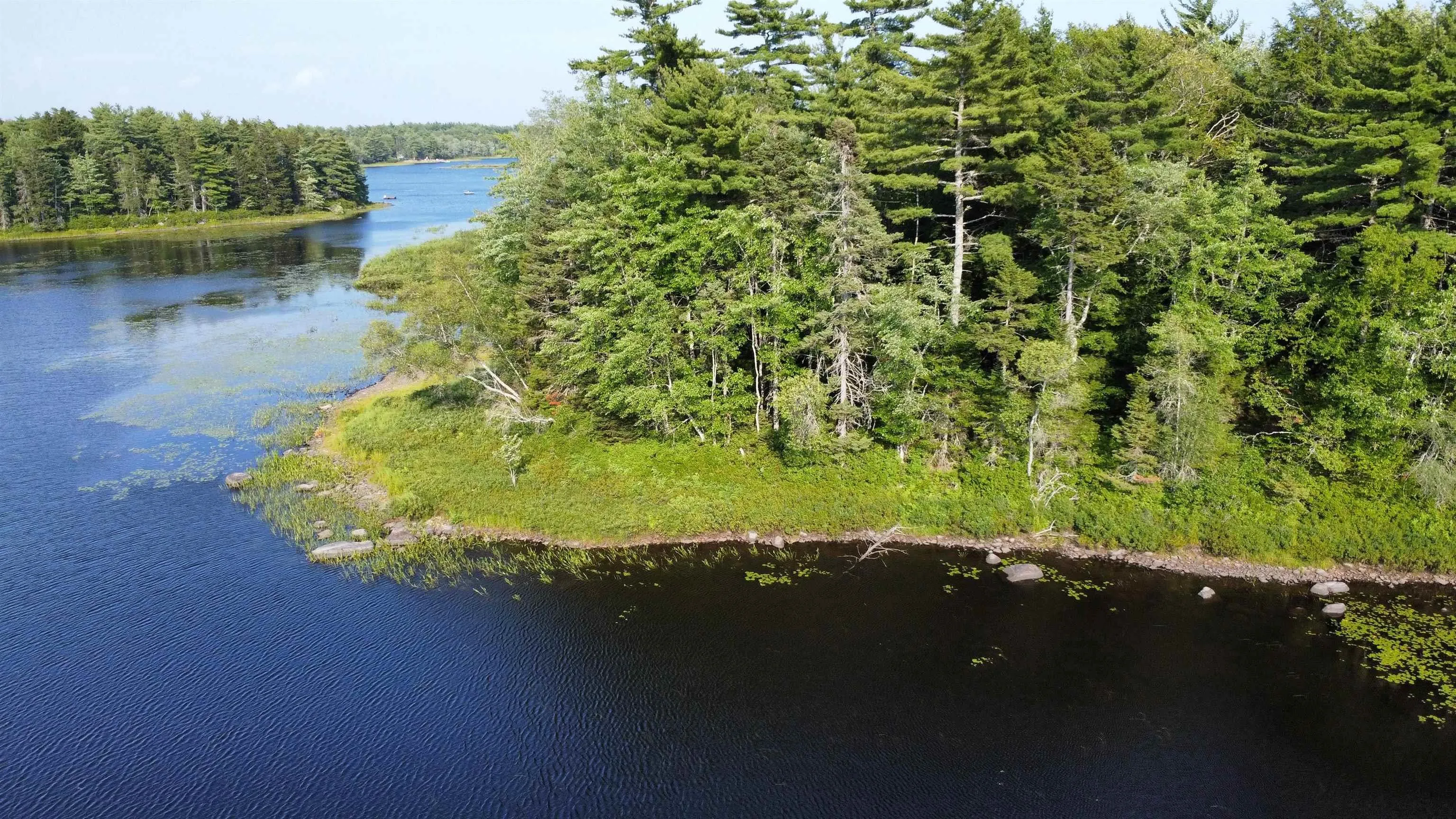 Pid# 60668795 Highway 325, West Clifford, NS B4V 8J1, ,Land,For Sale,Pid# 60668795 Highway 325,202519213