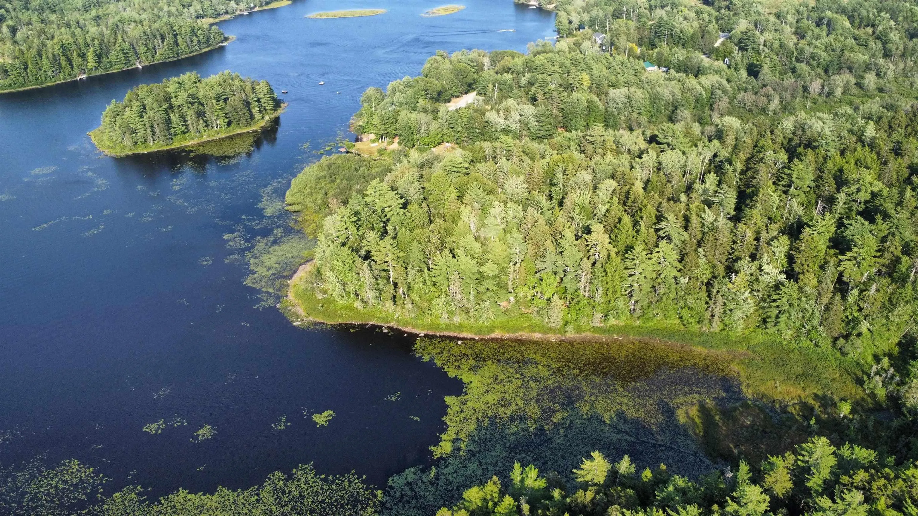 Pid# 60668795 Highway 325, West Clifford, NS B4V 8J1, ,Land,For Sale,Pid# 60668795 Highway 325,202519213