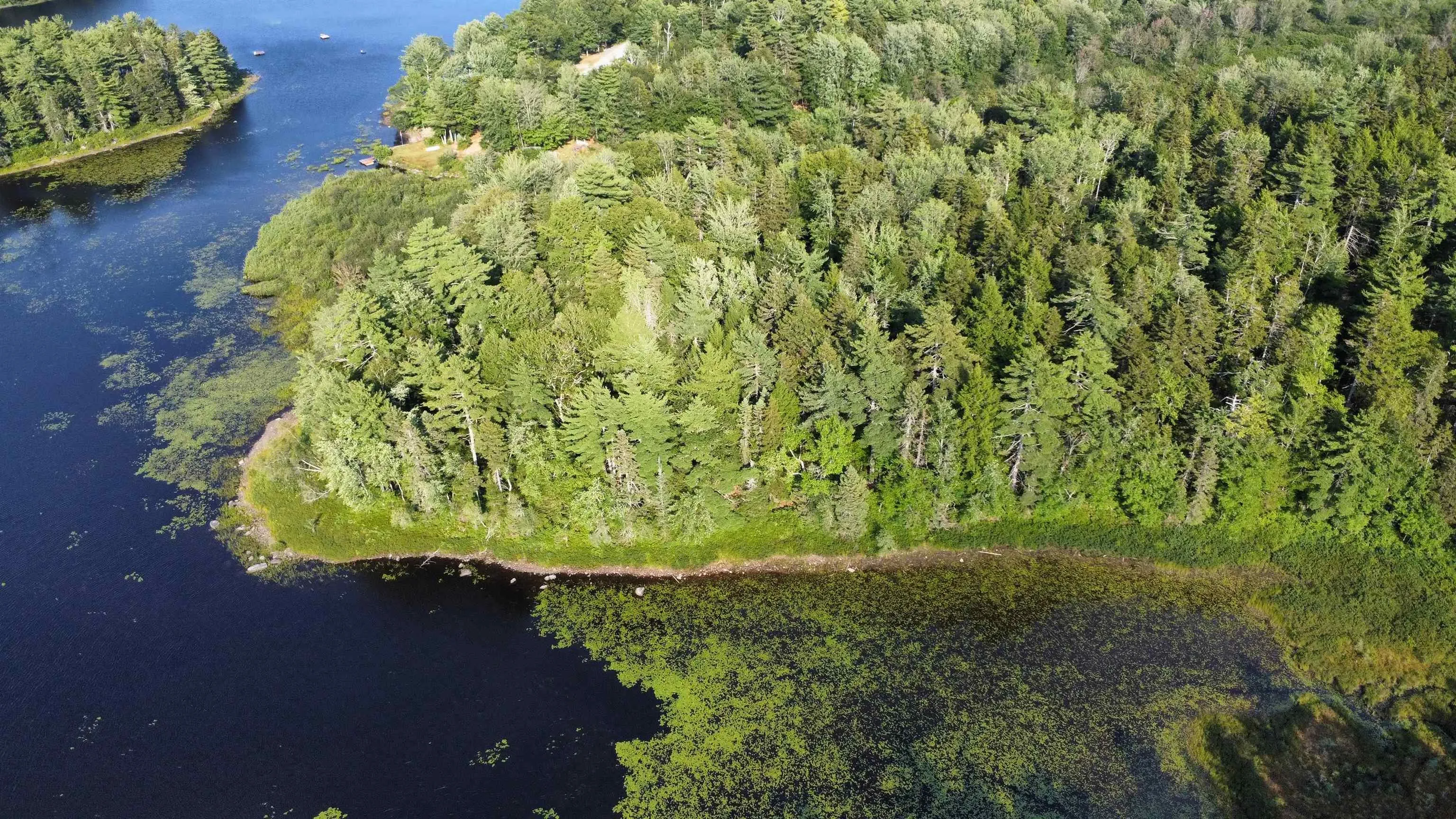 Pid# 60668795 Highway 325, West Clifford, NS B4V 8J1, ,Land,For Sale,Pid# 60668795 Highway 325,202519213