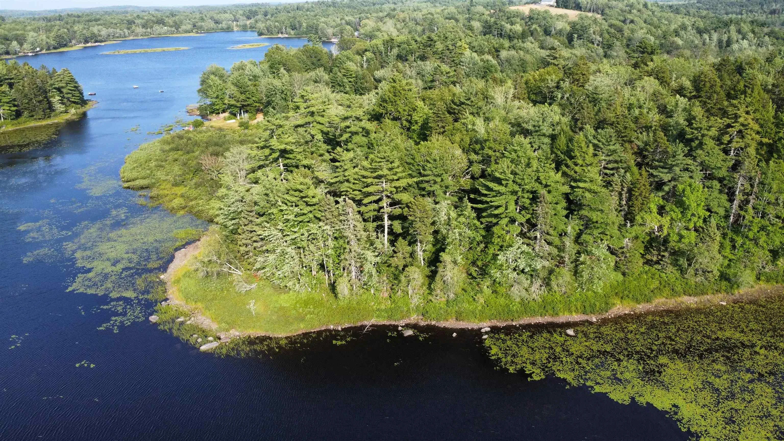Pid# 60668795 Highway 325, West Clifford, NS B4V 8J1, ,Land,For Sale,Pid# 60668795 Highway 325,202519213