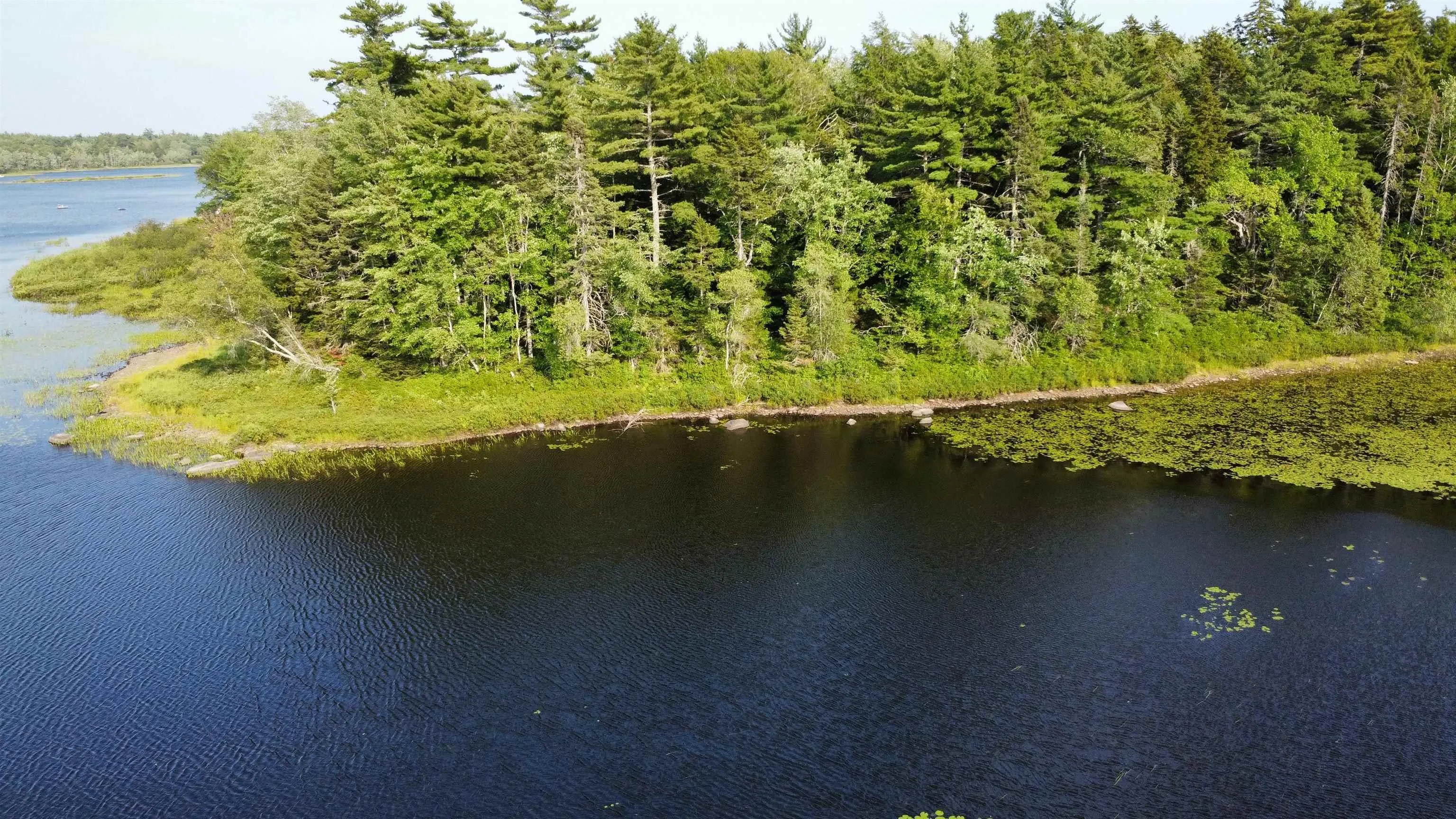 Pid# 60668795 Highway 325, West Clifford, NS B4V 8J1, ,Land,For Sale,Pid# 60668795 Highway 325,202519213