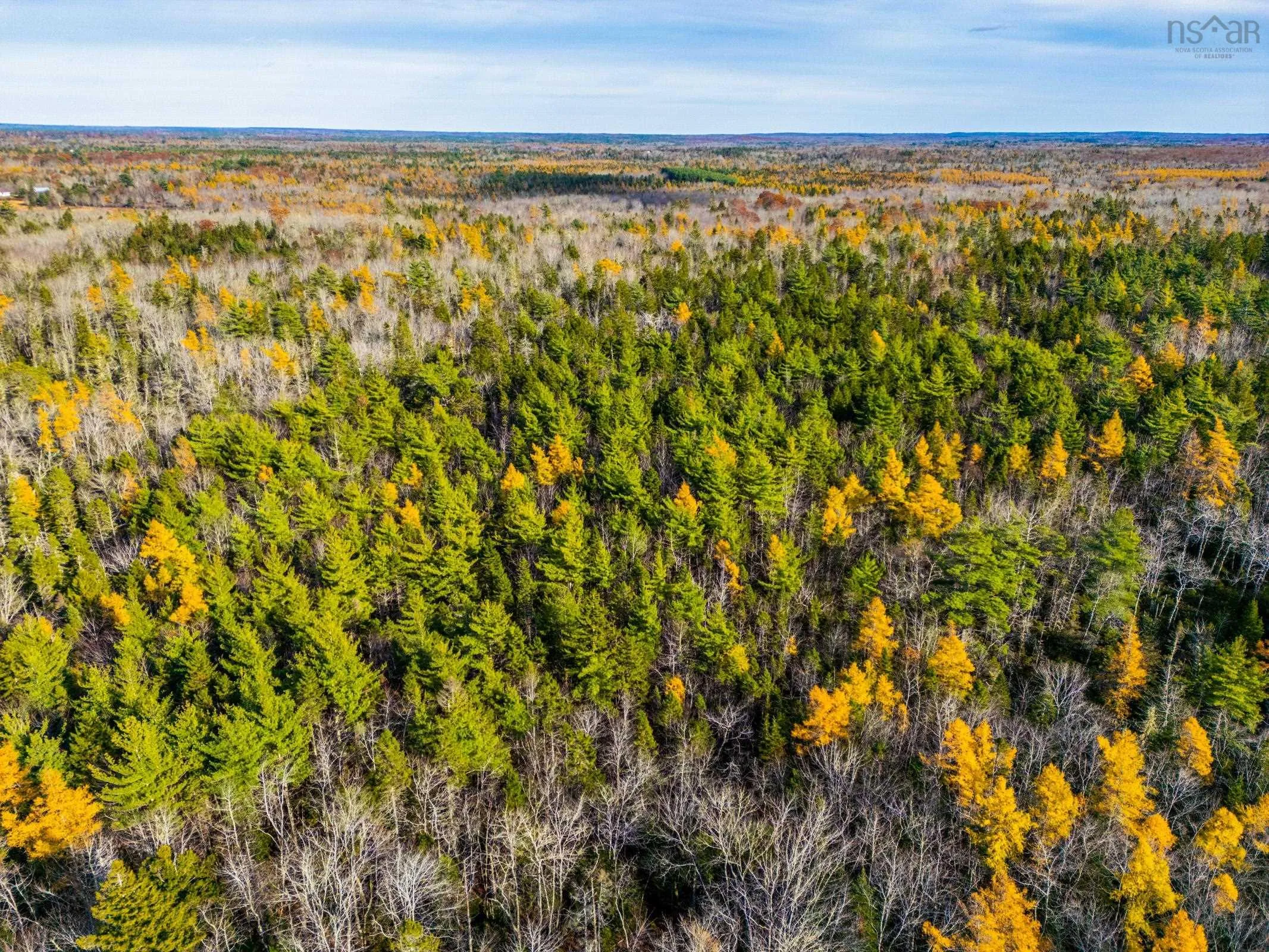 Lac A Pic Road Lot 7c, Quinan Ns B0w 3m0, ,Land,For Sale,Lac A Pic,202500384
