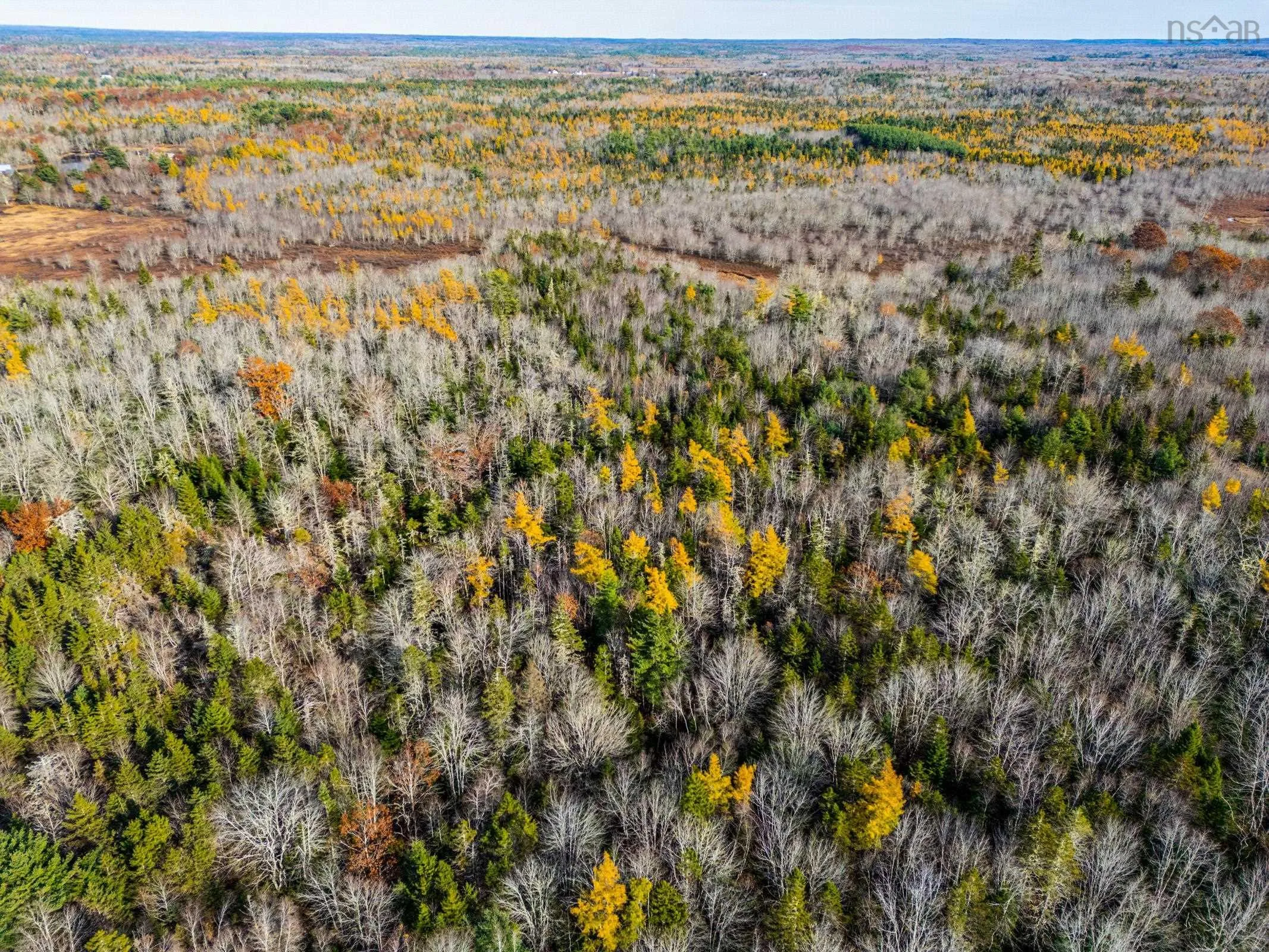 Lac A Pic Road Lot 7c, Quinan Ns B0w 3m0, ,Land,For Sale,Lac A Pic,202500384