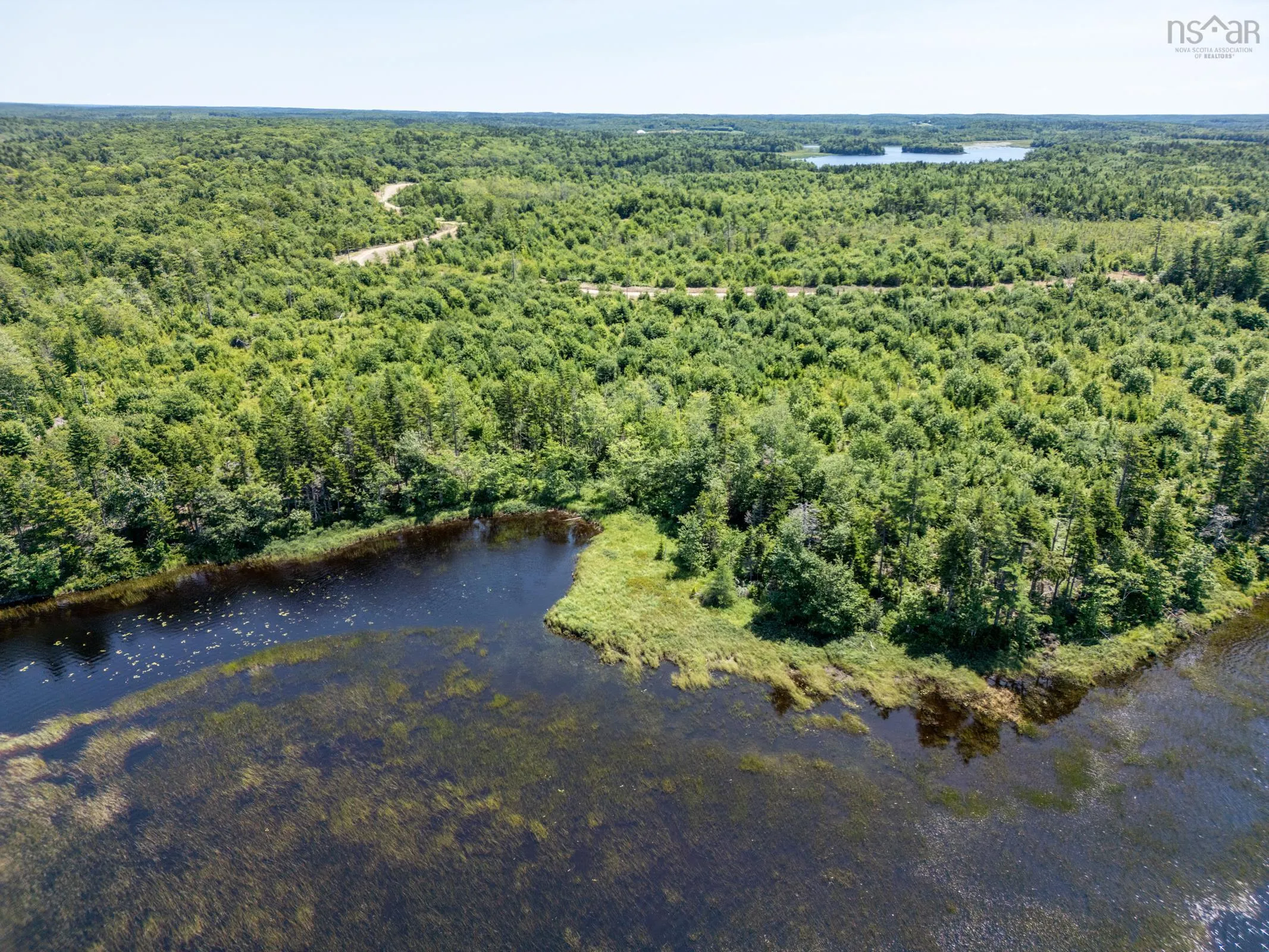 56 Sunshine Drive, Concession, NS B0W 1M0, ,Land,For Sale,Sunshine Drive,202519210