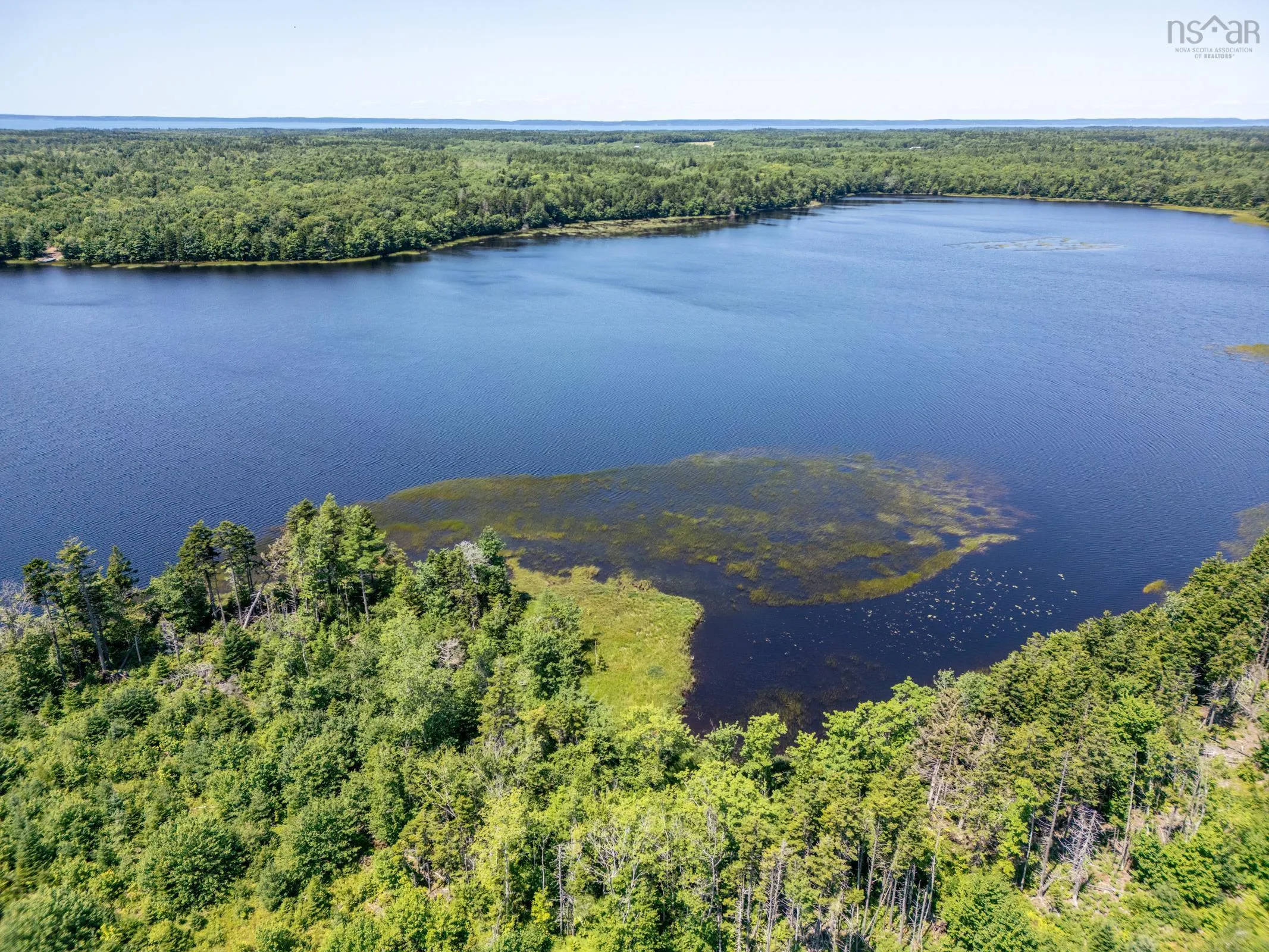56 Sunshine Drive, Concession, NS B0W 1M0, ,Land,For Sale,Sunshine Drive,202519210